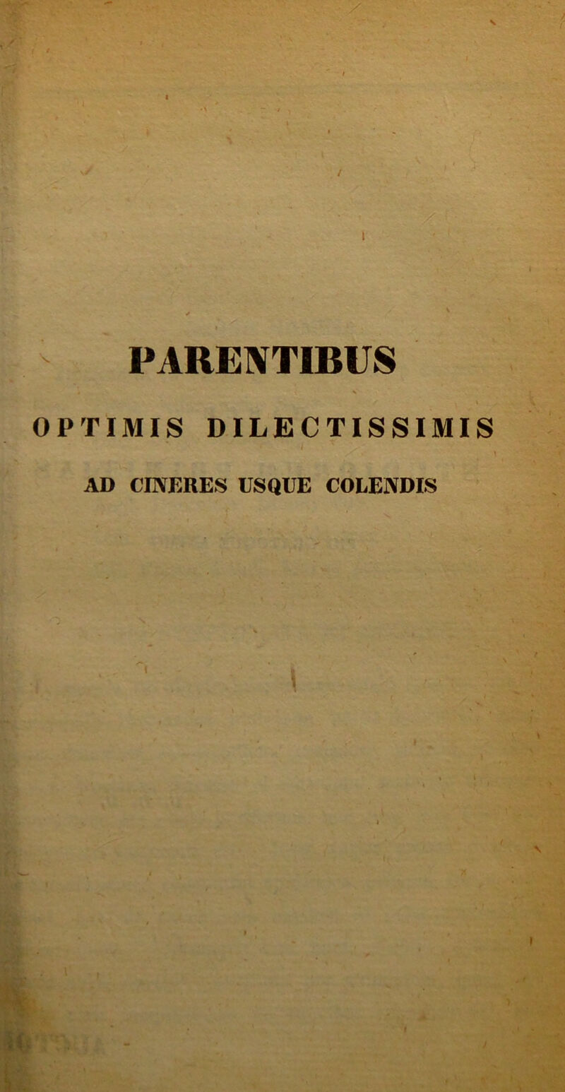 s / 1 PARENTIBUS V OPTIMIS DILECTISSIMIS AD CEVERES IISQUE COLENDIS