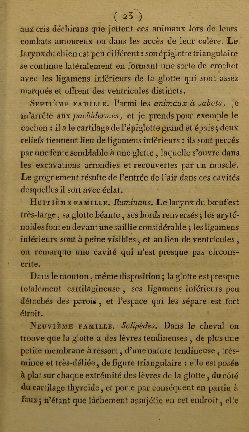 (aS) aux cris déchirans que jettent ces animaux Jors de leurs combats amoureux ou dans les accès de leur colère. Le larynx du chien est peu différent : son épiglotte triangulaire se continue latéralement en formant une sorte de crochet avec les ligamens inférieurs de la glotte qui sont assez marqués et offrent des ventricules distincts. Septième famille. Parmi les animaux à sabots, je m’arrête aux pachidermes, et je prends pour exemple le cochon : il a le cartilage de l’épiglotte grand et épais ; deux reliefs tiennent lieu de ligamens inférieurs : ils sont percés par une fente semblable à une glotte, laquelle s’ouvre dans les excavations arrondies et recouvertes par un muscle. Le grognement résulte de l’entrée de l’air dans ces cavités desquelles il sort avec éclat. Huitième famille. Ruminans. Le larynx du bœuf est très-large, sa glotte béante, ses bords renversés 3 les aryté- noïdes font en devant une saillie considérable ; les ligamens inférieurs sont à peine visibles, et au lieu de ventricules, on remarque une cavité qui n’est presque pas circons- crite. Dans le moût on, même disposition ; la glotte est presque totalement cartilagineuse , ses ligamens inférieurs peu détachés des parois , et l’espace qui les sépare est fort étroit. Neuvième famille. Solipèdes. Dans le cheval on trouve que la glotte a des lèvres tendineuses , de plus une petite membrane à ressort, d’une nature tendineuse, très- mince et très-déliée, défiguré triangulaire : elle est posée à plat sur chaque extrémité des lèvres de la glotte, du côté du cartilage thyroïde, et porte par conséquent en partie à faux j n’étant que lâchement assujétie en cct endroit, elle