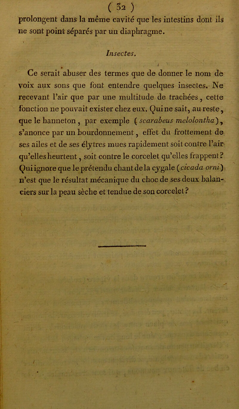 prolongent dans la même cavité que les intestins dont ils ne sont point séparés par un diaphragme. i Insectes. Ce serait abuser des termes que de donner le nom de voix aux sons que font entendre quelques insectes. Ne recevant l’air que par une multitude de trachées, cette fonction ne pouvait exister chez eux. Qui ne sait, au reste, que le hanneton , par exemple ( scarabeus melolontha) , s’anonce par un bourdonnement, effet du frottement de ses ailes et de ses élytres mues rapidement soit contre Pair qu’elles heurtent, soit contre le corcelet qu’elles frappent? Qui ignore que le prétendu chant de la cygale ( cicada orni ) n’est que le résultat mécanique du choc de ses deux balan- ciers sur la peau sèche et tendue de son corcelet ?