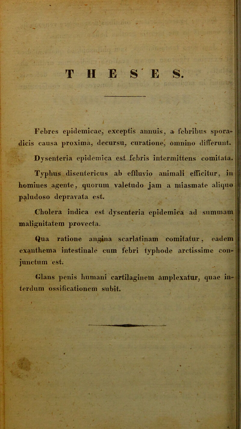 I T II E S E S. Febres epidemicae, exceptis annuis, a febribus spora* dicis causa proxima, decursu, curatione^ omnino differunt. Dysenteria epidemica est febris intermittens comitata. Typhus disentericus ab eflluvio animali efficitur, in homines agente, quorum valetudo jam a miasmate aliquo paludoso depravata est. Cholera indica est dysenteria epidemica ad summam malignitatem provecta. Qua ratione angina scarlatinam comitatur, eadem exanthema intestinale cum febri typhode arctissime con- junctum est. Glans penis humani cartilaginem amplexatur, quae in- terdum ossificationem subit.