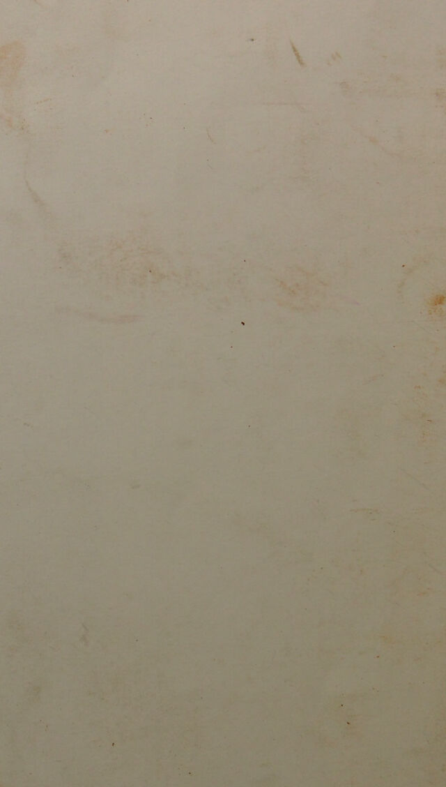 digitised image 2