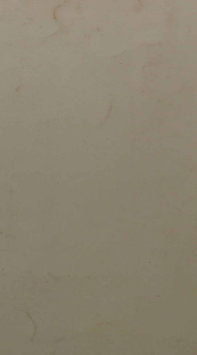 digitised image 2