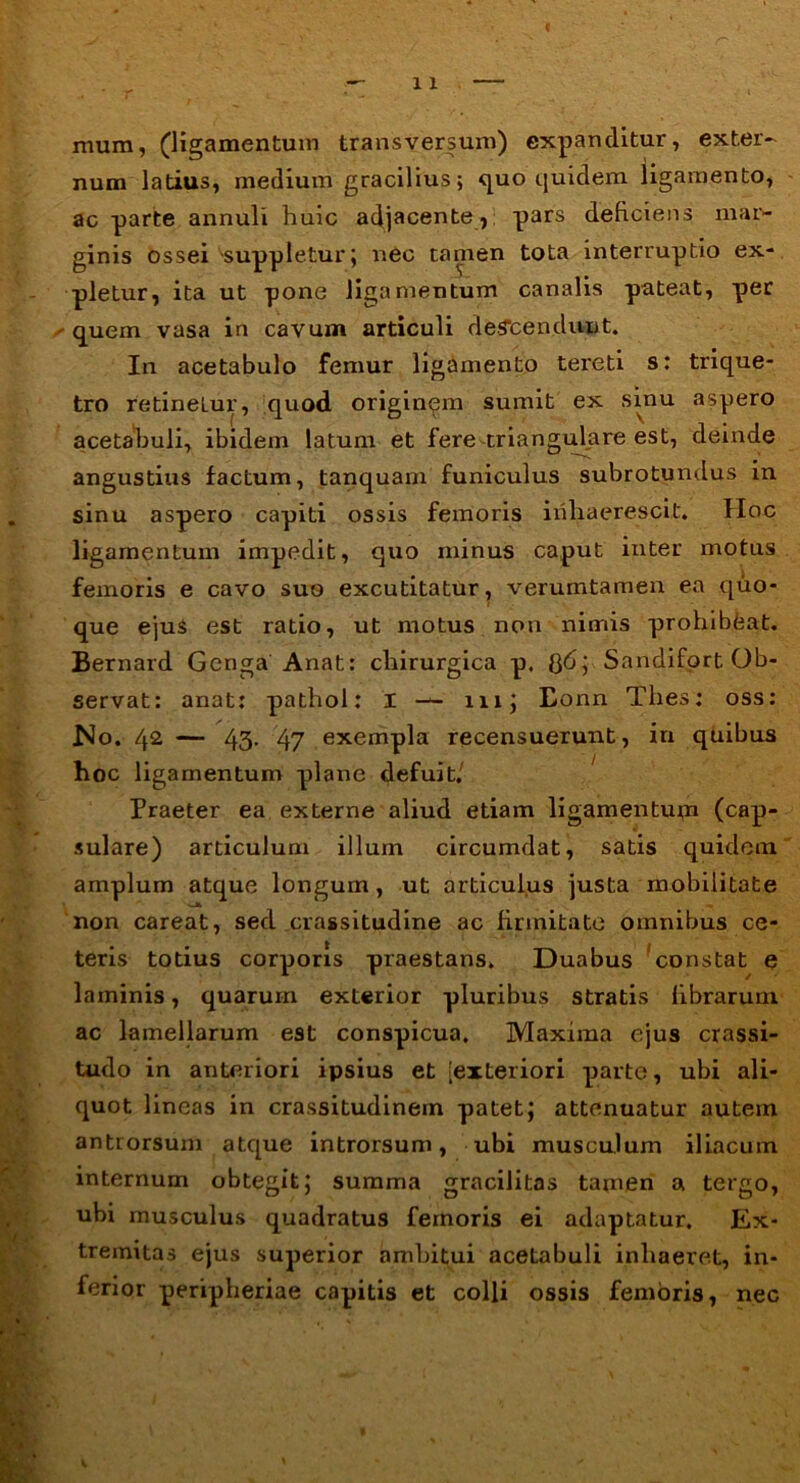 mum, (ligamentum transversum) expanditur, exter- num latius, medium gracilius; (juo quidem ligamento, ac parte annuli huic adjacente , pars deficiens mar- ginis ossei suppletur; nec tamen tota interruptio ex- pletur, ita ut pone ligamentum canalis pateat, per /'quem vasa in cavum articuli descendunt. In acetabulo femur ligamento tereti s; trique- tro retinetur, quod originem sumit ex sinu aspero acetabuli, ibidem latum et fere triangulare est, deinde angustius factum, tanquam funiculus subrotundus in sinu aspero capiti ossis femoris inhaerescit. Hoc ligamentum impedit, quo minus caput inter motus femoris e cavo suo excutitatur, verumtamen ea quo- que ejus est ratio, ut motus non nimis prohibeat. Bernard Gcnga Anat: chirurgica p. $6; Sandifort Ob- servat: anat: pathol: I — ni; Eonn Thes: oss: No. 42 — 43- 47 exempla recensuerunt, in quibus hoc ligamentum plane defuit.' Praeter ea externe aliud etiam ligamentum (cap- sulare) articulum illum circumdat, satis quidem amplum atque longum, ut articulus justa mobilitate non careat, sed crassitudine ac firmitate omnibus ce- teris totius corporis praestans. Duabus constat e laminis, quarum exterior pluribus stratis fibrarum ac lamellarum est conspicua. Maxima ejus crassi- tudo in anteriori ipsius et [exteriori parte, ubi ali- quot lineas in crassitudinem patet; attenuatur autem antrorsum atque introrsum, ubi musculum iliacum internum obtegit; summa gracilitas tamen a tergo, ubi musculus quadratus femoris ei adaptatur. Ex- tremitas ejus superior ambitui acetabuli inhaeret, in- ferior peripheriae capitis et colli ossis femoris, nec