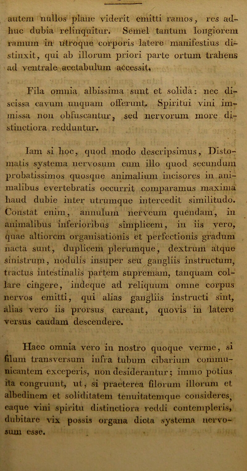 autem nullos plane viderit emitti ramos , res ad- liuc dubia relinquitur. Semel tantum longiorem ramum in utroque corporis latere manifestius di- stinxit, qui ab illorum priori parte ortum trahens ad ventrale acetabulum accessit. Fila omnia albissima sunt et solida: nec di- scissa cavum unquam offerunt. Spiritui vini im- missa non obfuscantur, sed nervorum inore di- stinctiora redduntur. Iam si lioc, quod modo descripsimus, Disto- inatis systema nervosum cum illo quod secundum probatissimos quosque animalium ilicis ores in ani- malibus evertebratis occurrit comparamus maxima haud dubie inter utrumque intercedit similitudo. Constat enim, annui um nerveum quendam, in animalibus inferioribus simplicem, in iis vero, quae altiorcm organisationis et perfectionis gradum nacta sunt, duplicem plerumque, dextrum atque sinistrum, nodulis insuper seu gangliis instructum, tractus intestinalis partem supremam, tanquam col- lare cingere, indeque ad reliquum omne corpus nervos emitti, qui alias gangliis instructi sint, alias vero iis prorsus careant, quovis in latere versus caudam descendere. Haec omnia vero in nostro quoque verme, si filum transversum infra tubum cibarium commu- nicantem exceperis, non desiderantur; imnio potius ita congruunt, ut, si praeterea filorum illorum et albedinem et soliditatem tenuitatemque consideres, eaque vini spiritu distinctiora reddi contempleris, dubitare vix possis organa dicta systema nervo- sum esse.