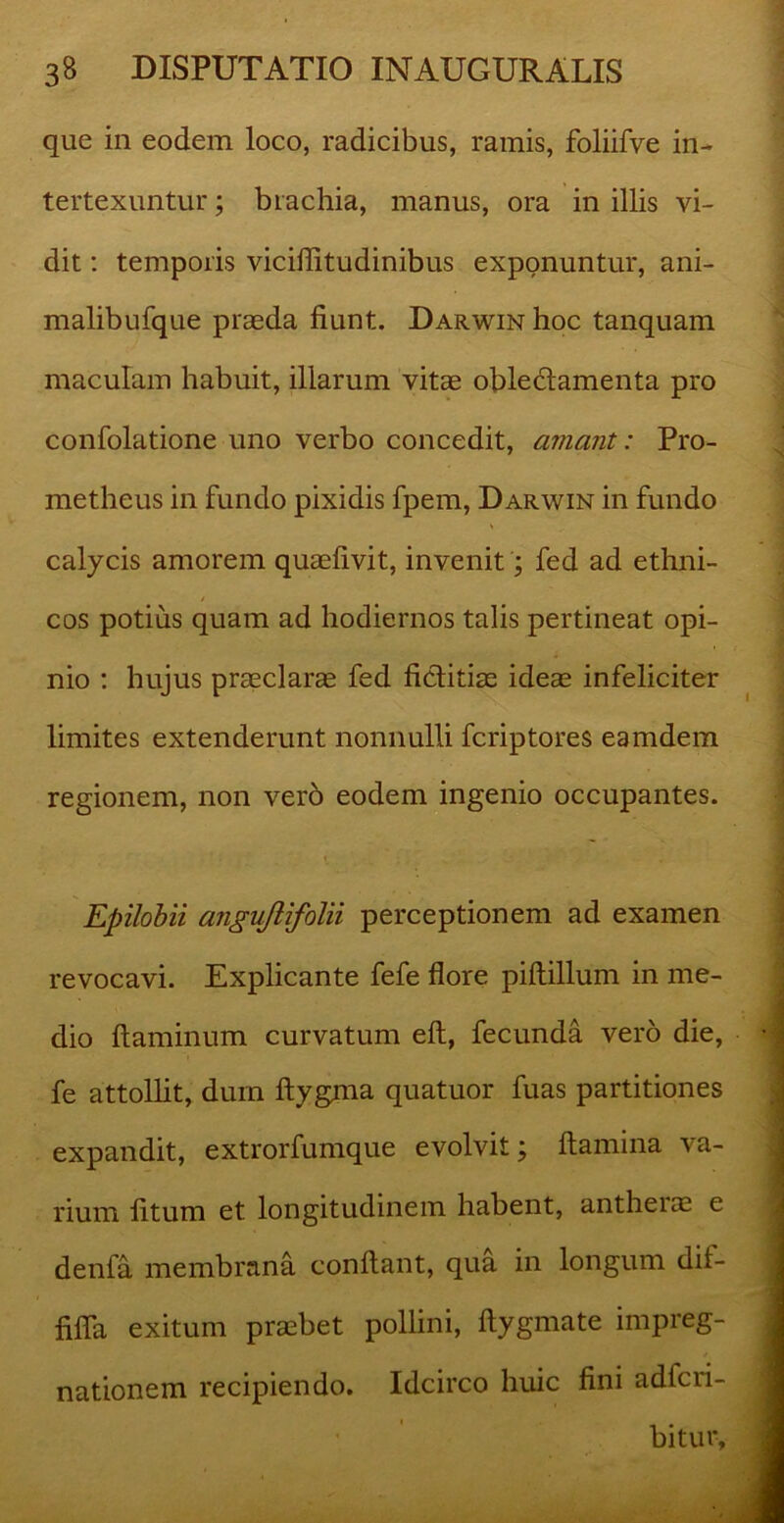 que in eodem loco, radicibus, ramis, foliifve in- tertexuntur ; brachia, manus, ora in illis vi- dit : temporis viciflitudinibus exponuntur, ani- malibufque praeda fiunt. Darwin hoc tanquam maculam habuit, illarum vitae oble&amenta pro confolatione uno verbo concedit, amant: Pro- metheus in fundo pixidis fpem, Darwin in fundo calycis amorem quaefivit, invenit; fed ad ethni- cos potius quam ad hodiernos talis pertineat opi- nio : hujus praeclarae fed ficlitiae ideae infeliciter limites extenderunt nonnulli fcriptores eamdem regionem, non vero eodem ingenio occupantes. \ . Epilobii anguflifolii perceptionem ad examen revocavi. Explicante fefe flore piftillum in me- dio flaminum curvatum eft, fecunda vero die, fe attollit, dum ftygma quatuor fuas partitiones expandit, extrorfumque evolvit; flamina va- rium litum et longitudinem habent, antheia? e denfa membrana conflant, qua in longum dif- fifla exitum praebet pollini, ftygmate impreg- nationem recipiendo. Idcirco huic fini adfcri- bitur.