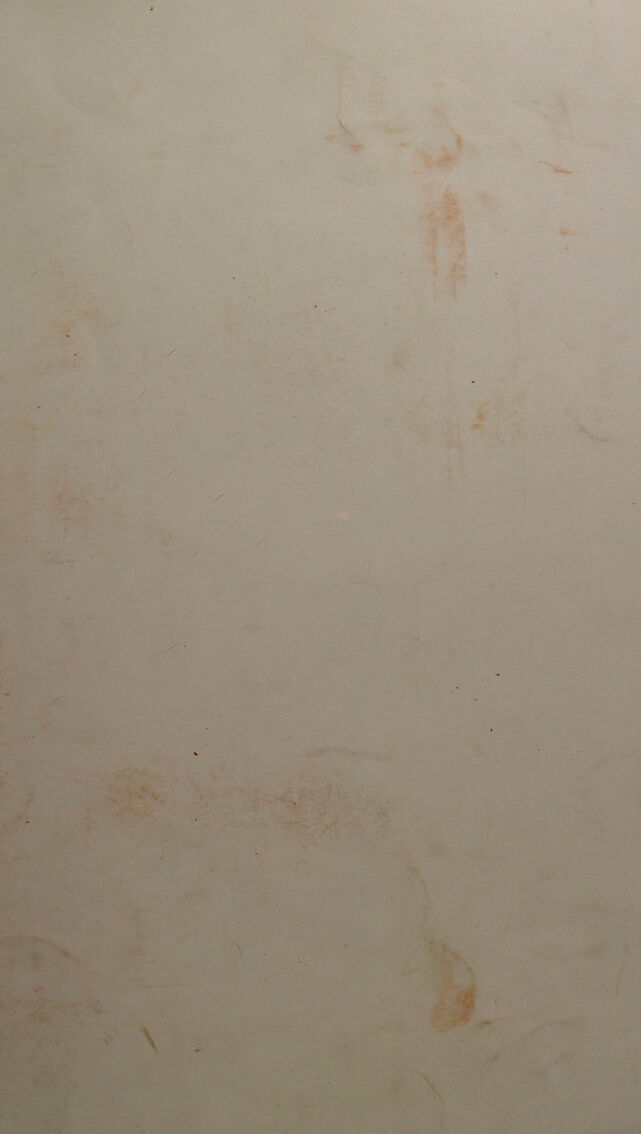 digitised image 1