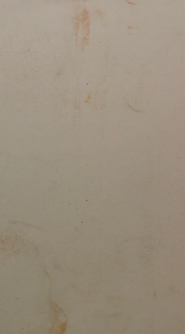 digitised image 2