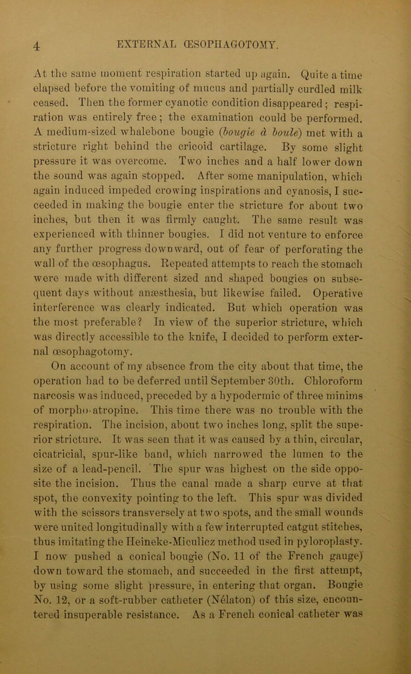 At the same moment respiration started up again. Quite a time elapsed before the vomiting of mucus and partially curdled milk- ceased. Then the former cyanotic condition disappeared ; respi- ration was entirely free; the examination could be performed. A medium-sized whalebone bougie (bougie d boule) met with a stricture right behind the cricoid cartilage. By some slight pressure it was overcome. Two inches and a half lower down the sound was again stopped. After some manipulation, which again induced impeded crowing inspirations and cyanosis, I suc- ceeded in making the bougie enter the stricture for about two inches, but then it was firmly caught. The same result was experienced with thinner bougies. I did not venture to enforce any further progress downward, out of fear of perforating the wall of the oesophagus. Repeated attempts to reach the stomach were made with different sized and shaped bougies on subse- quent days without anaesthesia, but likewise failed. Operative interference was clearly indicated. But which operation was the most preferable? In view of the superior stricture, which was directly accessible to the knife, I decided to perform exter- nal oesophagotomy. On account of my absence from the city about that time, the operation had to be deferred until September 30th. Chloroform narcosis was induced, preceded by a hypodermic of three minims of morpho-atropine. This time there was no trouble with the respiration. The incision, about two inches long, split the supe- rior stricture. It was seen that it was caused by a thin, circular, cicatricial, spur-like band, which narrowed the lumen to the size of a lead-pencil. The spur was highest on the side oppo- site the incision. Thus the canal made a sharp curve at that spot, the convexity pointing to the left. This spur was divided with the scissors transversely at two spots, and the small wounds were united longitudinally with a few interrupted catgut stitches, thus imitating the Heineke-Miculicz method used in pyloroplasty. I now pushed a conical bougie (No. 11 of the French gauge) down toward the stomach, and succeeded in the first attempt, by using some slight pressure, in entering that organ. Bougie No. 12, or a soft-rubber catheter (N61aton) of this size, encoun- tered insuperable resistance. As a French conical catheter was