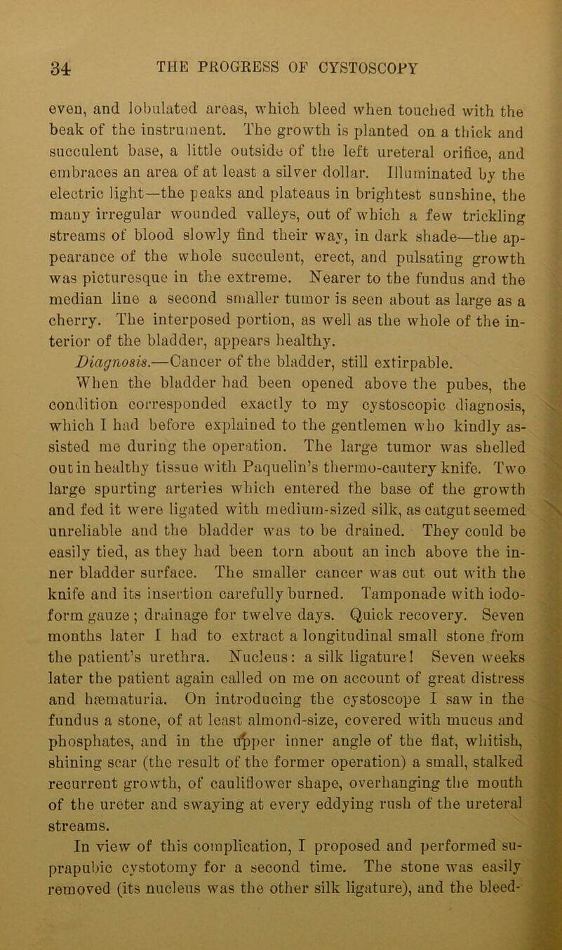 even, and tabulated areas, which bleed when touched with the beak of the instrument. The growth is planted on a thick and succulent base, a little outside of the left ureteral orifice, and embraces an area of at least a silver dollar. Illuminated by the electric light—the peaks and plateaus in brightest sunshine, the many irregular wounded valleys, out of which a few trickling streams of blood slowly find their way, in dark shade—the ap- pearance of the whole succulent, erect, and pulsating growth was picturesque in the extreme. Nearer to the fundus and the median line a second smaller tumor is seen about as large as a cherry. The interposed portion, as well as the whole of the in- terior of the bladder, appears healthy. Diagnosis.—Cancer of the bladder, still extirpable. When the bladder had been opened above the pubes, the condition corresponded exactly to my cystoscopic diagnosis, which I had before explained to the gentlemen who kindly as- sisted me during the operation. The large tumor was shelled out in healthy tissue with Paquelin’s thermo-cautery knife. Two large spurting arteries which entered the base of the growth and fed it were ligated with medium-sized silk, as catgut seemed unreliable and the bladder was to be drained. They could be easily tied, as they had been torn about an inch above the in- ner bladder surface. The smaller cancer was cut out with the knife and its insertion carefully burned. Tamponade with iodo- form gauze ; drainage for twelve days. Quick recovery. Seven months later I had to extract a longitudinal small stone from the patient’s urethra. Nucleus: a silk ligature! Seven weeks later the patient again called on me on account of great distress and hsematuria. On introducing the cystoscope I saw in the fundus a stone, of at least almond-size, covered with mucus and phosphates, and in the ripper inner angle of the flat, whitish, shining scar (the result of the former operation) a small, stalked recurrent growth, of cauliflower shape, overhanging the mouth of the ureter and swaying at every eddying rush of the ureteral streams. In view of this complication, I proposed and performed su- prapubic cystotomy for a second time. The stone was easily removed (its nucleus was the other silk ligature), and the bleed-