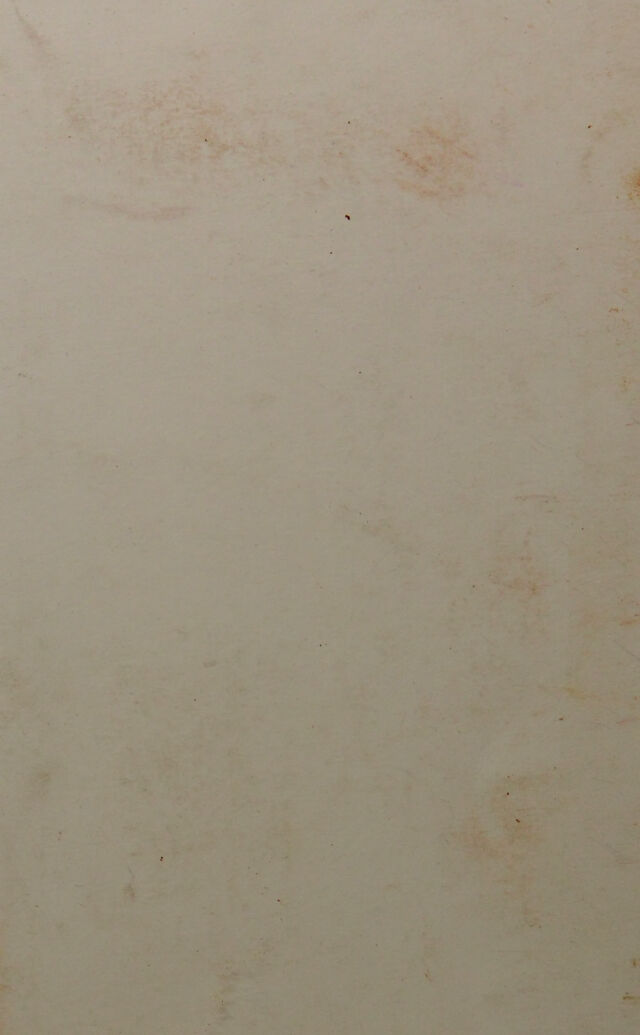 digitised image 2