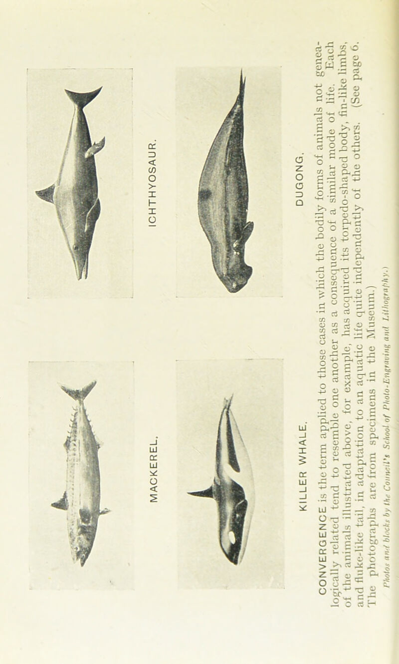 £2 rt •? u sw.S “ SjO — £ o —' O ei - a 9v.~ 3 » a ■ c/^ •g«««e « ° - . 8 « >»E 5 0^5 M C — O ° u O o £ cj QhjC 5*5 ” o ^ w o >> _» T3 >* ^ o z; r! Jl -P rv O o £ + o .T £h 2 Er a rt s c 2 c s l-S? ^ _, O, O o S o +3 T3 S a; S -£ •- o £ UJ 'M — —-' tn =k O -D-'S-g t z rt s LJ -» j- O u -S o -s £ £ « ? ^ ^ ■ V “ LlJ C o C H > _>> cfi j- g ? ia ® 5 ^ 3 O Er'1 ~ O ’I