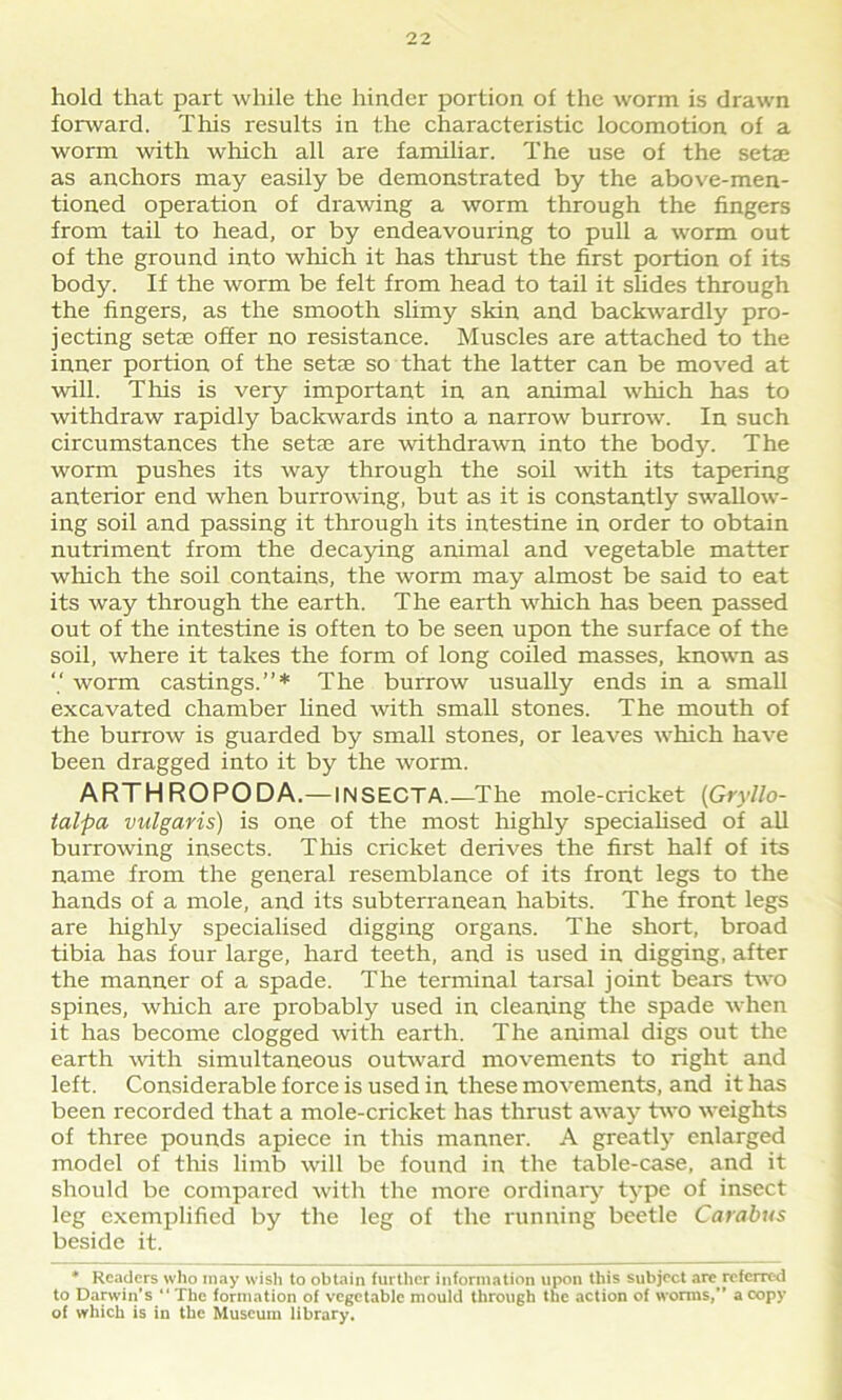 hold that part while the hinder portion of the worm is drawn forward. This results in the characteristic locomotion of a worm with which all are familiar. The use of the setae as anchors may easily be demonstrated by the above-men- tioned operation of drawing a worm through the fingers from tail to head, or by endeavouring to pull a worm out of the ground into which it has thrust the first portion of its body. If the worm be felt from head to tail it slides through the fingers, as the smooth slimy skin and backwardly pro- jecting setae offer no resistance. Muscles are attached to the inner portion of the setae so that the latter can be moved at will. This is very important in an animal which has to withdraw rapidly backwards into a narrow burrow. In such circumstances the setae are withdrawn into the body. The worm pushes its way through the soil with its tapering anterior end when burrowing, but as it is constantly swallow- ing soil and passing it through its intestine in order to obtain nutriment from the decaying animal and vegetable matter which the soil contains, the worm may almost be said to eat its way through the earth. The earth which has been passed out of the intestine is often to be seen upon the surface of the soil, where it takes the form of long coiled masses, known as worm castings.”* The burrow usually ends in a small excavated chamber lined with small stones. The mouth of the burrow is guarded by small stones, or leaves which have been dragged into it by the worm. ARTHROPODA.— INSECTA.—The mole-cricket (Gryllo- talpa vulgaris) is one of the most highly specialised of all burrowing insects. This cricket derives the first half of its name from the general resemblance of its front legs to the hands of a mole, and its subterranean habits. The front legs are highly specialised digging organs. The short, broad tibia has four large, hard teeth, and is used in digging, after the manner of a spade. The terminal tarsal joint bears two spines, which are probably used in cleaning the spade when it has become clogged with earth. The animal digs out the earth with simultaneous outward movements to right and left. Considerable force is used in these movements, and it has been recorded that a mole-cricket has thrust away two weights of three pounds apiece in this manner. A greatly enlarged model of this limb will be found in the table-case, and it should be compared with the more ordinary type of insect leg exemplified by the leg of the running beetle Carabus beside it. * Readers who may wish to obtain further information upon this subject are.referred to Darwin’s The formation of vegetable mould through the action of worms,” a copy of which is in the Museum library.