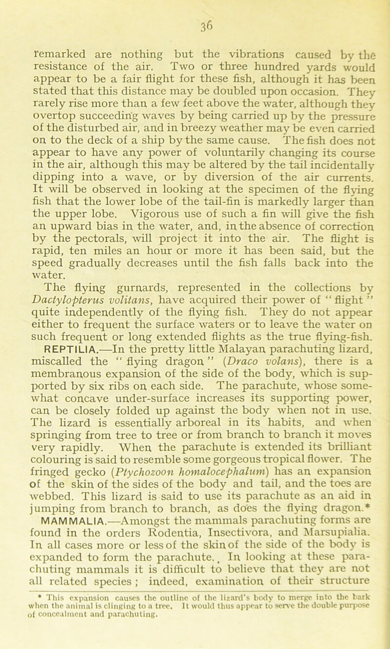 remarked are nothing but the vibrations caused by the resistance of the air. Two or three hundred yards would appear to be a fair flight for these fish, although it has been stated that this distance may be doubled upon occasion. They rarely rise more than a few feet above the water, although they overtop succeeding waves by being carried up by the pressure of the disturbed air, and in breezy weather may be even carried on to the deck of a ship by the same cause. The fish does not appear to have any power of voluntarily changing its course in the air, although this may be altered by the tail incidentally dipping into a wave, or by diversion of the air currents. It will be observed in looking at the specimen of the flying fish that the lower lobe of the tail-fin is markedly larger than the upper lobe. Vigorous use of such a fin will give the fish an upward bias in the water, and, in the absence of correction by the pectorals, will project it into the air. The flight is rapid, ten miles an hour or more it has been said, but the speed gradually decreases until the fish falls back into the water. The flying gurnards, represented in the collections by Dactylopterus volitans, have acquired their power of “ flight ” quite independently of the flying fish. They do not appear either to frequent the surface waters or to leave the water on such frequent or long extended flights as the true flying-fish. REPTILIA.—In the pretty little Malayan parachuting lizard, miscalled the  flying dragon ” (Draco volans), there is a membranous expansion of the side of the body, which is sup- ported by six ribs on each side. The parachute, whose some- what concave under-surface increases its supporting power, can be closely folded up against the body when not in use. The lizard is essentially arboreal in its habits, and when springing from tree to tree or from branch to branch it moves very rapidly. When the parachute is extended its brilliant colouring is said to resemble some gorgeous tropical flower. The fringed gecko (Ptychozoon homalocephalum) has an expansion of the skin of the sides of the body and tail, and the toes are webbed. This lizard is said to use its parachute as an aid in j umping from branch to branch, as does the flying dragon. * MAMMALIA.—Amongst the mammals parachuting forms are found in the orders Rodentia, Insectivora, and Marsupialia. In all cases more or less of the skin of the side of the body is expanded to form the parachute., In looking at these para- chuting mammals it is difficult to believe that they are not all related species; indeed, examination of their structure * This expansion causes the outline of the lizard’s body to merge into the bark when the anitnal is clinging to a tree. It would thus appear to sene the double purpose of concealment and parachuting.