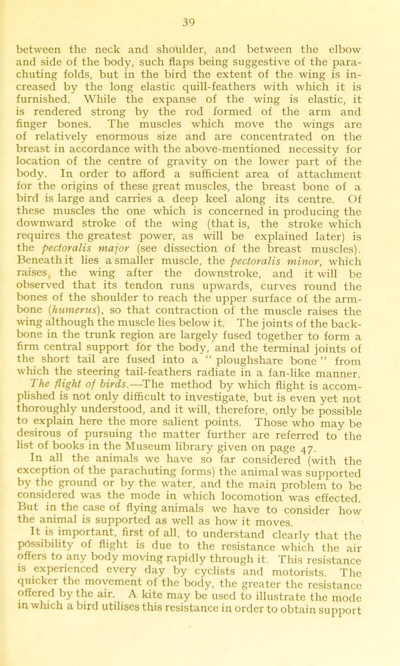 between the neck and shoulder, and between the elbow and side of the body, such flaps being suggestive of the para- chuting folds, but in the bird the extent of the wing is in- creased by the long elastic quill-feathers with which it is furnished. While the expanse of the wing is elastic, it is rendered strong by the rod formed of the arm and finger bones. The muscles which move the wings are of relatively enormous size and are concentrated on the breast in accordance with the above-mentioned necessity for location of the centre of gravity on the lower part of the body. In order to afford a sufficient area of attachment for the origins of these great muscles, the breast bone of a bird is large and carries a deep keel along its centre. Of these muscles the one which is concerned in producing the downward stroke of the wing (that is, the stroke which requires the greatest power, as will be explained later) is the pectoralis major (see dissection of the breast muscles). Beneath it lies a smaller muscle, the pectoralis minor, which raises, the wing after the downstroke, and it will be observed that its tendon runs upwards, curves round the bones of the shoulder to reach the upper surface of the arm- bone (humerus), so that contraction of the muscle raises the wing although the muscle lies below it. The joints of the back- bone in the trunk region are largely fused together to form a firm central support for the body, and the terminal joints of the short tail are fused into a  ploughshare bone ” from which the steering tail-feathers radiate in a fan-like manner. The flight of birds.—The method by which flight is accom- plished is not only difficult to investigate, but is even yet not thoroughly understood, and it will, therefore, only be possible to explain here the more salient points. Those who may be desirous of pursuing the matter further are referred to the list of books in the Museum library given on page 47. In all the animals we have so far considered (with the exception of the parachuting forms) the animal was supported by the ground or by the water, and the main problem to be considered was the mode in which locomotion was effected. But in the case of flying animals we have to consider how the animal is supported as well as how it moves. It is important, first of all, to understand clearly that the possibility of flight is due to the resistance which the air offers to any body moving rapidly through it. This resistance is experienced every day by cyclists and motorists. The quicker the movement of the body, the greater the resistance offered by the air. A kite may be used to illustrate the mode in which a bird utilises this resistance in order to obtain support