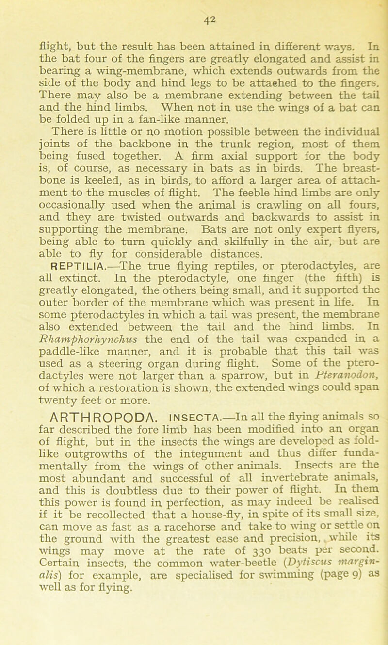 flight, but the result has been attained in different ways. In the bat four of the fingers are greatly elongated and assist in bearing a wing-membrane, which extends outwards from the side of the body and hind legs to be attaehed to the fingers. There may also be a membrane extending between the tail and the hind limbs. When not in use the wings of a bat can be folded up in a fan-like manner. There is little or no motion possible between the individual joints of the backbone in the trunk region, most of them being fused together. A firm axial support for the body is, of course, as necessary in bats as in birds. The breast- bone is keeled, as in birds, to afford a larger area of attach- ment to the muscles of flight. The feeble hind limbs are only occasionally used when the animal is crawling on all fours, and they are twisted outwards and backwards to assist in supporting the membrane. Bats are not only expert flyers, being able to turn quickly and skilfully in the air, but are able to fly for considerable distances. REPTILIA.—The true flying reptiles, or pterodactyles, are all extinct. In the pterodactyle, one finger (the fifth) is greatly elongated, the others being small, and it supported the outer border of the membrane which was present in life. In some pterodactyles in which a tail was present, the membrane also extended between the tail and the hind limbs. In Rhampliorhynchus the end of the tail was expanded in a paddle-like manner, and it is probable that this tail was used as a steering organ during flight. Some of the ptero- dactyles were not larger than a sparrow, but in Pteranodon, of which a restoration is shown, the extended wings could span twenty feet or more. ARTHROPODA. INSECTA.—In all the flying animals so far described the fore limb has been modified into an organ of flight, but in the insects the wings are developed as fold- like outgrowths of the integument and thus differ funda- mentally from the wings of other animals. Insects are the most abundant and successful of all invertebrate animals, and this is doubtless due to their power of flight. In them this power is found in perfection, as may indeed be realised if it be recollected that a house-fly, in spite of its small size, can move as fast as a racehorse and take to wing or settle on the ground with the greatest ease and precision,, while its wings may move at the rate of 330 beats per second. Certain insects, the common water-beetle (Dytiscus margin- alis) for example, are specialised for swimming (page 9) as well as for flying.