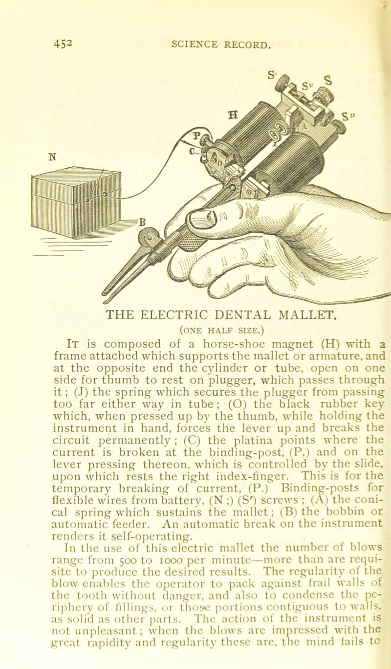 THE ELECTRIC DENTAL MALLET. (one half size.) It is composed of a horse-shoe magnet (H) with a frame attached which supports the mallet or armature, and at the opposite end the cylinder or tube, open on one side for thumb to rest on plugger, which passes through it; (J) the spring which secures the plugger from passing too far either way in tube; (O) the black rubber key which, when pressed up by the thumb, while holding the instrument in hand, forces the lever up and breaks the circuit permanently ; (C) the platina points where the current is broken at the binding-post, (P,) and on the lever pressing thereon, which is controlled by the slide, upon which rests the right index-finger. This is for the temporary breaking of current, (P.) Binding-posts for flexible wires from batter}', (N ;) (S') screws : (A) the coni- cal spring which sustains the mallet; (B) the bobbin or automatic feeder. An automatic break on the instrument renders it self-operating. In the use of this electric mallet the number of blows range from 500 to 1000 per minute—more than are requi- site to produce the desired results. The regularity of the blow enables the operator to pack against frail walls of the tooth without danger, and also to condense the pe- riphery of fillings, or those portions contiguous to walls, as solid as other parts. The action of the instrument is not unpleasant; when the blows are impressed with the great rapidity and regularity these are, the mind fails to