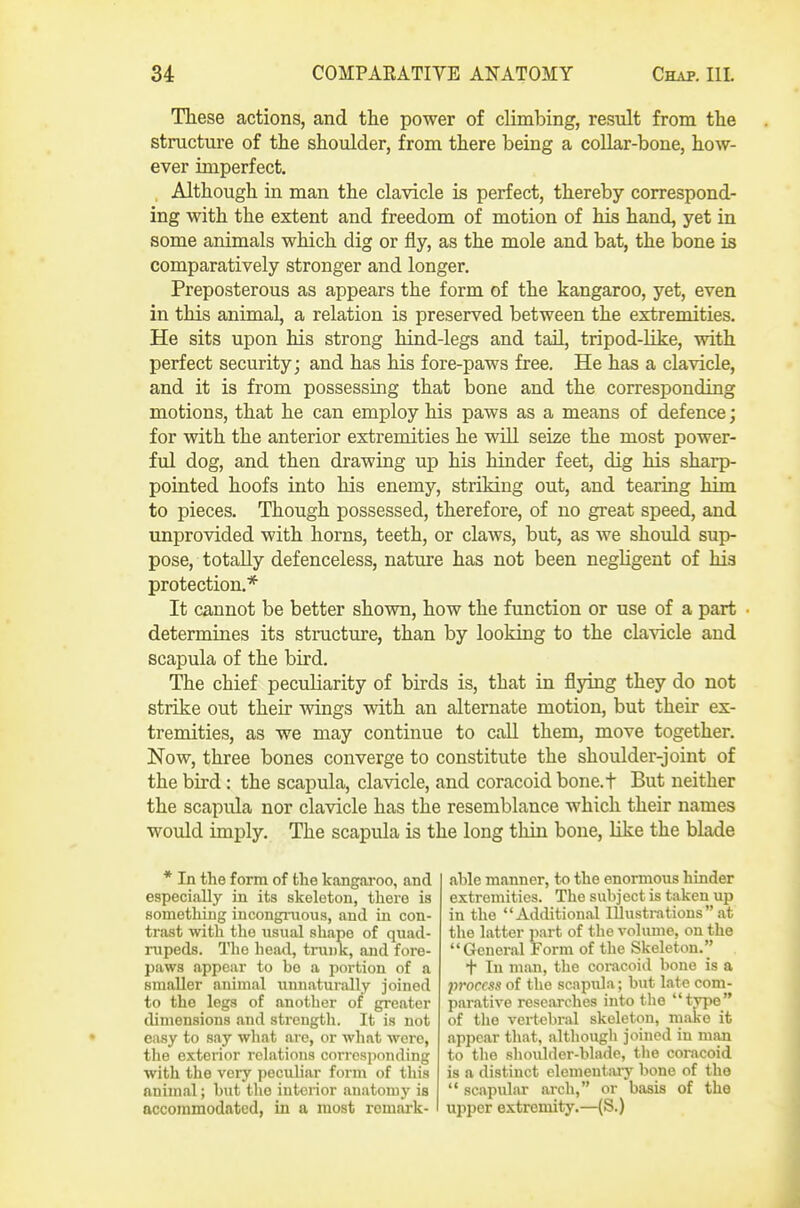 These actions, and the power of climbing, result from the stnictui'e of the shoulder, from there being a collar-bone, how- ever imperfect. Although in man the clavicle is perfect, thereby correspond- ing with the extent and freedom of motion of his hand, yet in some animals which dig or fly, as the mole and bat, the bone is comparatively stronger and longer. Preposterous as appears the form of the kangaroo, yet, even in this animal, a relation is preserved between the extremities. He sits upon his strong hind-legs and tail, tripod-Hke, with perfect security; and has his fore-paws free. He has a clavicle, and it is from possessing that bone and the corresponding motions, that he can employ his paws as a means of defence; for with the anterior extremities he wUl seize the most power- ful dog, and then drawing up his hinder feet, dig his sharp- pointed hoofs into his enemy, striking out, and tearing him to pieces. Though possessed, therefore, of no great speed, and unprovided with horns, teeth, or claws, but, as Ave should sup- pose, totally defenceless, nature has not been negligent of his protection.* It cannot be better shown, how the function or use of a part determines its structure, than by looking to the cla^dcle and scapula of the bird. The chief peculiarity of birds is, that in flying they do not strike out their wings with an alternate motion, but their ex- tremities, as we may continue to call them, move together. Now, three bones converge to constitute the shoulder-joint of the bird: the scapula, clavicle, and coracoid bone.t But neither the scapida nor clavicle has the resemblance which their names would imply. The scapula is the long thin bone, like the blade * In the form of the kangaroo, and especially in its skeleton, there is something incongruous, and in con- trast with the usual shape of quad- rupeds. The head, trunk, and fore- paws appear to be a portion of a smaller animal unnaturally joined to the legs of another of greater dimensions and strength. It is not easy to say wliat are, or what were, the exterior relations corresponding with the very peculiar form of this animal; hut the interior anatomj' is accommodated, in a most remark- I able manner, to the enormous hinder extremities. The subject is taken up in the Additional lUustrations at the latter part of the volume, on the General Form of the Skeleton. + In man, the coracoid bone is a process of the scapida; but late com- parative researches into the type of the vertebral skeleton, make it appear that, although joined in man to the shoulder-blade, the coracoid is a distinct elementaiy bone of the  scapular arch, or basis of the upper extremity.—(S.)