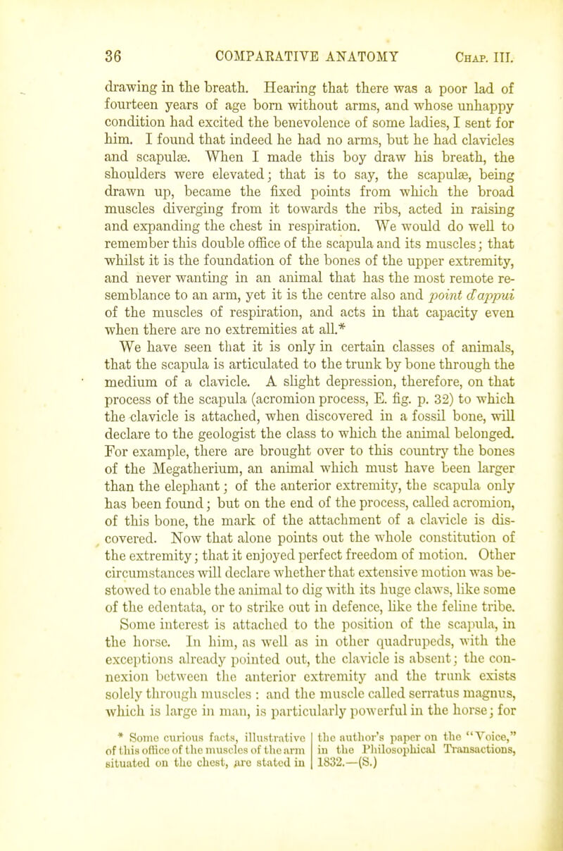 drawing in tlie breath. Hearing that there was a poor lad of fourteen years of age bom without arms, and whose unhappy- condition had excited the benevolence of some ladies, I sent for him. I found that indeed he had no arms, but he had clavicles and scapulae. When I made this boy draw his breath, the shoulders were elevated; that is to say, the scapulae, being drawn up, became the fixed points from which the broad muscles diverging from it towards the ribs, acted in raising and expanding the chest in respiration. We would do weU to remember this double office of the scapula and its muscles; that whilst it is the foundation of the bones of the upper extremity, and never wanting in an animal that has the most remote re- semblance to an arm, yet it is the centre also and point dappui of the muscles of respiration, and acts in that capacity even when there are no extremities at all.* We have seen that it is only in certain classes of animals, that the scapula is articulated to the trunk by bone through the medium of a clavicle. A slight depression, therefore, on that process of the scapula (acromion process, E. fig. p. 32) to which the clavicle is attached, when discovered in a fossil bone, wiU declare to the geologist the class to which the animal belonged. For example, there are brought over to this country the bones of the Megatherium, an animal which must have been larger than the elephant; of the anterior extremity, the scapula only has been found; but on the end of the process, called acromion, of this bone, the mark of the attachment of a claAdcle is dis- covered. Now that alone points out the whole constitution of the extremity; that it enjoyed perfect freedom of motion. Other circumstances will declare whether that extensive motion was be- stowed to enable the animal to dig with its huge claws, like some of the edentata, or to strike out in defence, like the feline tribe. Some interest is attached to the position of the scaj^ula, in the horse. In him, as well as in other quadrupeds, with the exceptions already pointed out, the clavicle is absent; the con- nexion between the anterior extremity and the trunk exists solely through muscles : and the muscle called serratus magnus, which is large in man, is particularly powerful in the horse; for * Sonic curious facts, illustrative of this oflice of the muscles of the arm situated on the chest, ai'c stated in the author's paper on the Voice, in the Philosophical Transactions, 1832.-(S.)