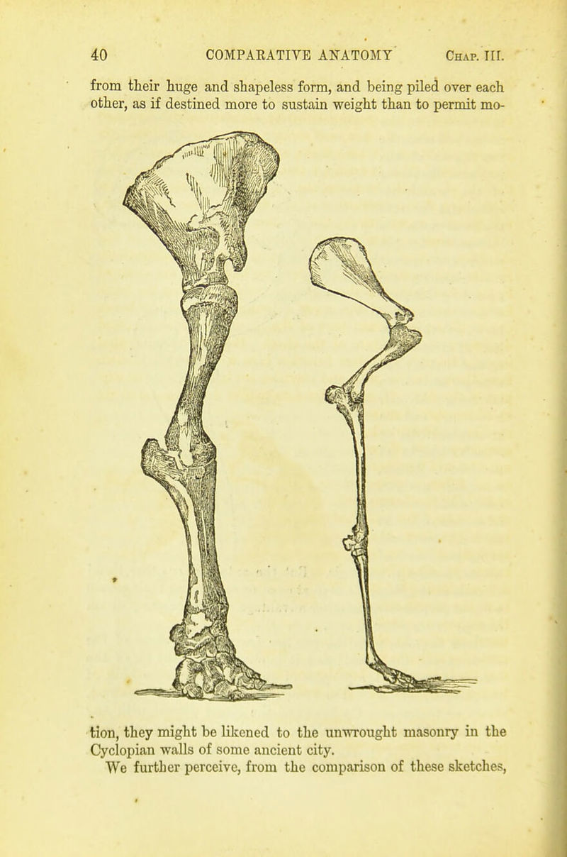 from their huge and shapeless form, and being piled over each other, as if destined more to sustain weight than to permit mo- tion, they might be likened to the unwrought masonry in the Cyclopian walls of some ancient city. We further perceive, from the comparison of these sketches,