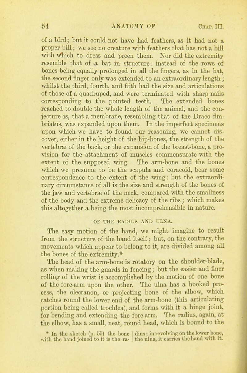 of a bird; but it could not bave bad featbers, as it bad not a proper bill; we see no creature witb featbers tbat bas not a biU witb Wbicb to dress and preen tbem. Nor did tbe extremity resemble tbat of a bat in structure: instead of tbe rows of bones being equally prolonged in all tbe fingers, as in tbe bat, tbe second finger only was extended to an extraordinary lengtb; wbilst tbe tbird, fourtb, and fiftb bad tbe size and articulations of tbose of a quadruped, and were terminated witb sbarp nails corresponding to tbe pointed teetb. Tbe extended bones reacbed to double tbe wbole lengtb of tbe animal, and tbe con- jecture is, tbat a membrane, resembbng tbat of tbe Draco fim- briatus, was expanded upon tbem. In tbe imperfect specimens upon wbicb we bave to found our reasoning, we cannot dis- cover, eitber in tbe beigbt of tbe bip-bones, tbe strengtb of tbe vertebra of tbe back, or tbe expansion of tbe breast-bone, a pro- vision for tbe attacbment of muscles commensurate witb tbe extent of tbe supposed wing. Tbe arm-bone and tbe bones wbicb we presume to be tbe scapula and coracoid, bear some correspondence to tbe extent of tbe wing: but tbe extraordi- nary circumstance of all is tbe size and strengtb of tbe bones of tbe jaw and vertebrae of tbe neck, compared witb tbe smallness of tbe body and tbe extreme delicacy of tbe ribs; wbicb makes tbis altogetber a being tbe most incomprebensible in nature. OF THE RADIUS AND ULNA. Tbe easy motion of tbe band, we migbt imagine to result from tbe structure of tbe band itself; but, on tbe contrary, tbe movements wbicb appear to belong to it, are divided among all tbe bones of tbe extremity.* Tbe bead of tbe arm-bone is rotatory on tbe sboulder-blade, as wben making tbe guards in fencing; but tbe easier and finer rolling of tbe wrist is accompbsbed by tbe motion of one bone of tbe fore-arm upon tbe otber. Tbe ulna bas a booked pro- cess, tbe olecranon, or projecting bone of tbe elbow, wbicb catcbes round tbe lower end of tbe arm-bone (tbis articulating portion being called trocblea), and forms witb it a binge joint, for bending and extending tbe fore-arm. Tlie radius, agjiin, at tbe elbow, bas a small, neat, round bead, Avbicb is bound to tbe * In the sketch (p. 55) the bone with the liaucl joined to it is the ra- dius ; in revolving on the lower bone, the ulna, it carries the hand ^vith it.