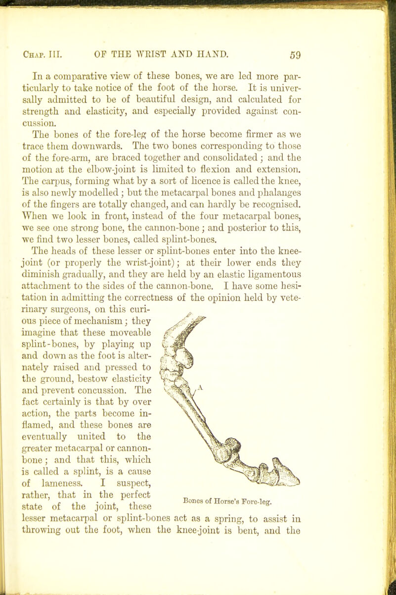 In a comparative view of these bones, we are led more par- ticularly to take notice of the foot of the horse. It is univer- sally admitted to be of beautiful design, and calculated for strength and elasticity, and especially provided against con- cussion. The bones of the fore-leg of the horse become firmer as we trace them downwards. The two bones corresponding to those of the fore-arm, are braced together and consolidated; and the motion at the elbow-joint is limited to flexion and extension. The carpus, forming what by a sort of licence is called the knee, is also newly modelled; but the metacarpal bones and phalanges of the fingers are totally changed, and can hardly be recognised. When we look in front, instead of the four metacarpal bones, we see one strong bone, the cannon-bone; and posterior to this, we find two lesser bones, called spHnt-bones. The heads of these lesser or splint-bones enter into the knee- joint (or properly the wrist-joint); at their lower ends they diminish gradually, and they are held by an elastic ligamentous attachment to the sides of the cannon-bone. I have some hesi- tation in admitting the correctness of the opinion held by vete- rinary surgeons, on this curi- ous piece of mechanism; they imagine that these moveable splint-bones, by playing up and down as the foot is alter- nately raised and pressed to the ground, bestow elasticity and prevent concussion. The fact certainly is that by over action, the parts become in- flamed, and these bones are eventually united to the greater metacarpal or cannon- bone ; and that this, which is Ciilled a splint, is a cause of lameness. I suspect, rather, that in the perfect state of the joint, these lesser metacarpal or splint-bones act as a spring, to assist in throwing out the foot, when the knee-joint is bent, and the Bones of Horse's Fore-leg.