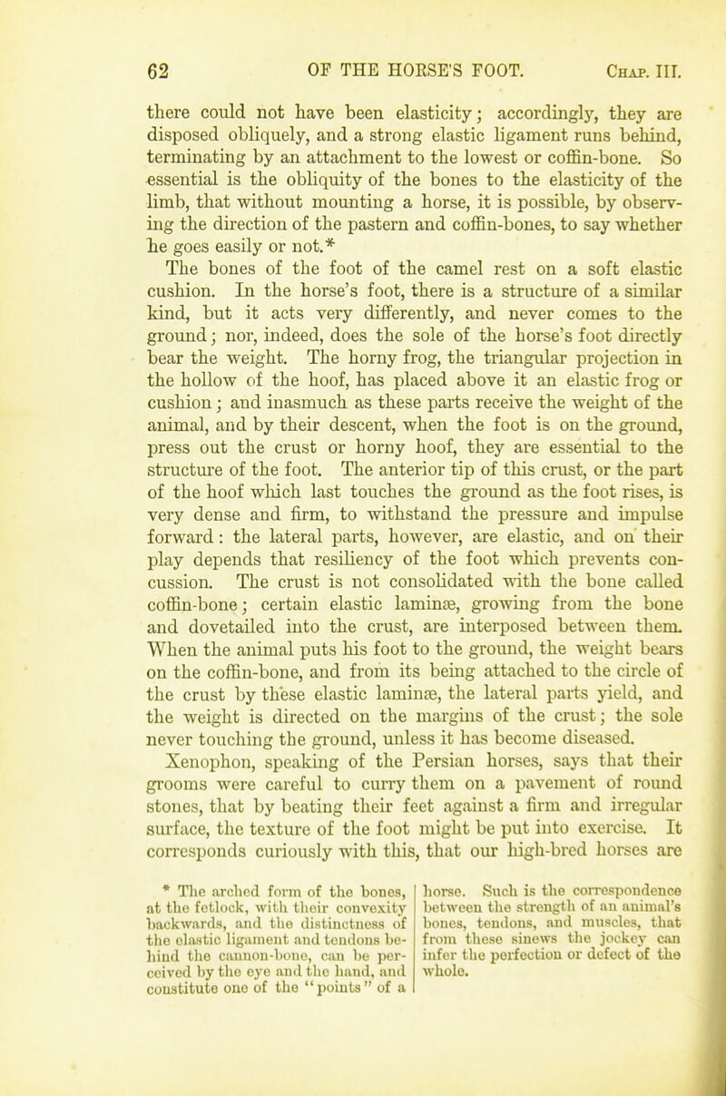 there could not have been elasticity; accordinglj^, they are disposed obliquely, and a strong elastic ligament runs behind, terminating by an attachment to the lowest or coffin-bone. So ■essential is the obliquity of the bones to the elasticity of the limb, that without mounting a horse, it is possible, by observ- ing the direction of the pastern and coffin-bones, to say whether he goes easily or not.* The bones of the foot of the camel rest on a soft elastic cushion. In the horse's foot, there is a structure of a similar kind, but it acts very differently, and never comes to the ground; nor, indeed, does the sole of the horse's foot directly bear the weight. The horny frog, the triangular projection in the hollow of the hoof, has placed above it an elastic frog or cushion; and inasmuch as these parts receive the weight of the animal, and by their descent, when the foot is on the ground, press out the crust or horny hoof, they are essential to the structure of the foot. The anterior tip of this crust, or the part of the hoof which last touches the ground as the foot rises, is very dense and firm, to withstand the pressure and impulse forward: the lateral parts, however, are elastic, and on their play depends that resiliency of the foot which prevents con- cussion. The crust is not consolidated with the bone called coffin-bone; certain elastic laminae, growing from the bone and dovetailed into the crust, are interposed between them. When the animal puts his foot to the ground, the weight bears on the coffin-bone, and from its being attached to the circle of the crust by these elastic laminae, the lateral parts yield, and the weight is directed on the margins of the crust; the sole never touching the ground, unless it has become diseased. Xenophon, speaking of the Persian horses, says that their grooms were careful to curry them on a pavement of round stones, that by beating their feet against a firm and irregular surface, the texture of the foot might be put into exercise. It corresponds curiously with this, that our high-bred horses are * The arclied form of the bones, at the fetlock, with their convexity backwards, and the distinctness of the clastic ligament and teudons be- hind the cannon-bone, can be per- ceived by the eye and the hand, and constitute one of the points of a horse. Such is the correspondence between the strength of an animal's bones, tendons, and muscles, that from these sinews the jockey can infer the perfection or defect of the whole.