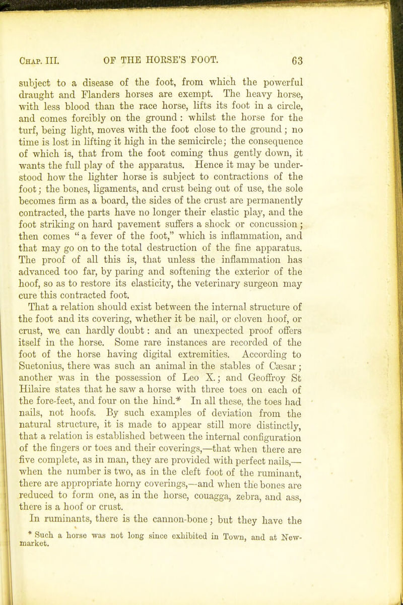 subject to a disease of the foot, from which the powerful di-aught and Flanders horses are exempt. The heavy horse, with less blood than the race horse, lifts its foot in a circle, and comes forcibly on the ground: whilst the horse for the turf, being light, moves with the foot close to the ground ; no time is lost in lifting it high in the semicircle; the consequence of which is, that from the foot coming thus gently down, it wants the full play of the apparatus. Hence it may be under- stood how the lighter horse is subject to contractions of the foot; the bones, ligaments, and crust being out of use, the sole becomes firm as a board, the sides of the crust are permanently contracted, the parts have no longer their elastic play, and the foot striking on hard pavement suffers a shock or concussion; then comes  a fever of the foot, which is inflammation, and that may go on to the total destruction of the fine aj^paratus. The proof of all this is, that unless the inflammation has advanced too far, by paring and softening the exterior of the hoof, so as to restore its elasticity, the veterinary surgeon may cure this contracted foot. That a relation should exist between the internal structure of the foot and its covering, whether it be nail, or cloven hoof, or crust, we can hardly doubt: and an unexpected proof oflers itself in the horse. Some rare instances are recorded of the foot of the horse having digital extremities. According to Suetonius, there was such an animal in the stables of Caesar ; another was in the possession of Leo X.; and Geoff'roy St Hilaire states that he saw a horse with three toes on each of the fore-feet, and four on the hind.* In all these, the toes had nails, not hoofs. By such examples of deviation from the natural structure, it is made to appear still more distinctly, that a relation is established between the internal configuration of the fingers or toes and their coverings,—^that when there are five complete, as in man, they are provided with perfect nails,— when the number is two, as in the cleft foot of the ruminant, there are appropriate horny coverings,—and when the bones are reduced to form one, as in the horse, couagga, zebra, and ass, there is a hoof or crust. In ruminants, there is the cannon-bone; but they have the * Such a horse was not long since exhibited in Town, and at New- market.