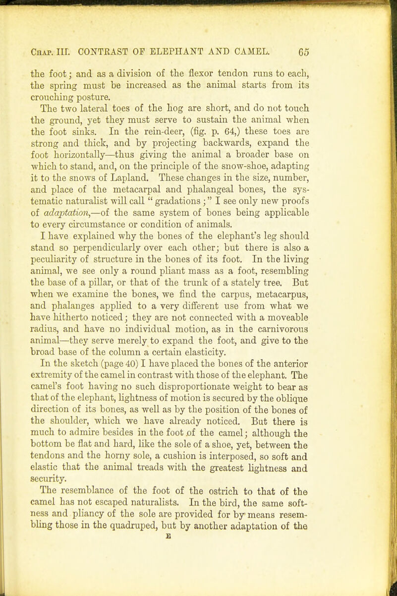 the foot; and as a division of tlie flexor tendon runs to each, the spring must be increased as the animal starts from its crouching posture. The two lateral toes of the hog are short, and do not touch the ground, yet they must serve to sustain the animal when the foot sinks. In the rein-deer, (fig. p. 64,) these toes are strong and thick, and by projecting backvpards, expand the foot horizontally—thus giving the animal a broader base on which to stand, and, on the principle of the snow-shoe, adapting it to the snows of Lapland. These changes in the size, number, and place of the metacarpal and phalangeal bones, the sys- tematic naturalist wUl call  gradations; I see only new proofs of adaptation,—of the same system of bones being applicable to every circumstance or condition of animals. I have explained why the bones of the elephant's leg should stand so perpendicularly over each other; but there is also a peculiarity of structure in the bones of its foot. In the living animal, we see only a round pliant mass as a foot, resembling the base of a pillar, or that of the trunk of a stately tree. But when we examine the bones, we find the carpus, metacarpus, and phalanges applied to a very different use from what we have hitherto noticed; they are not connected with a moveable radius, and have no individual motion, as in the carnivorous animal—they serve merely to expand the foot, and give to the broad base of the column a certain elasticity. In the sketch (page 40) I have placed the bones of the anterior extremity of the camel in contrast with those of the elephant. The camel's foot having no such disproportionate weight to bear as that of the elephant, Ughtness of motion is secured by the oblique direction of its bones, as well as by the position of the bones of the shoulder, which we have already noticed. But there is much to admire besides in the foot .of the camel; although the bottom be flat and hard, like the sole of a shoe, yet, between the tendons and the horny sole, a cushion is interposed, so soft and elastic that the animal treads with the greatest lightness and security. The resemblance of the foot of the ostrich to that of the camel has not escaped naturalists. In the bird, the same soft- ness and pliancy of the sole are provided for by means resem- bling those in the quadruped, but by another adaptation of the