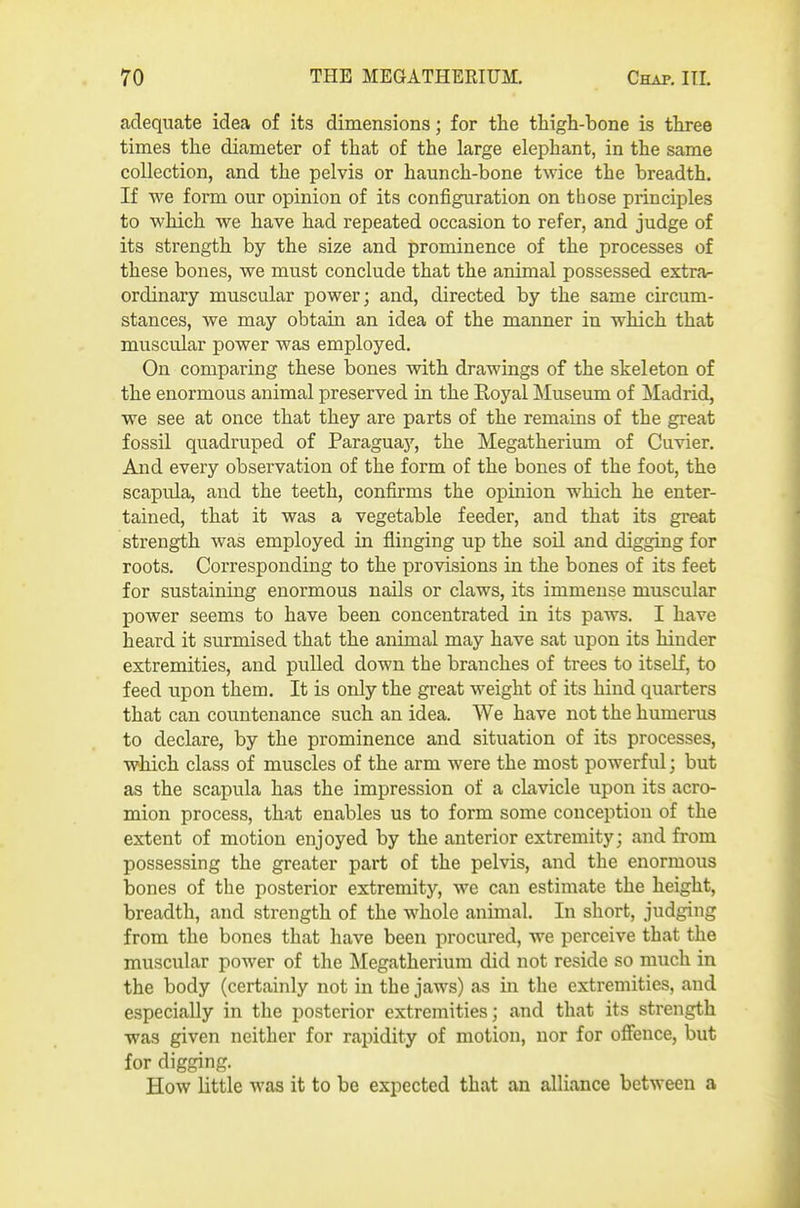 adequate idea of its dimensions; for tlie thigh-bone is three times the diameter of that of the large elephant, in the same collection, and the pelvis or haunch-bone twice the breadth. If we form our opinion of its configuration on those principles to which we have had repeated occasion to refer, and judge of its strength by the size and prominence of the processes of these bones, we must conclude that the animal possessed extra- ordinary muscular power; and, directed by the same circum- stances, we may obtain an idea of the manner in which that muscular power was employed. On comparing these bones with drawings of the skeleton of the enormous animal preserved in the Eoyal JSIuseum of Madrid, we see at once that they are parts of the remains of the great fossil quadruped of Paraguaj', the Megatherium of Cuvier. And every observation of the form of the bones of the foot, the scapula, and the teeth, confirms the opinion which he enter- tained, that it was a vegetable feeder, and that its great strength was employed in flinging up the soil and digging for roots. Corresponding to the provisions in the bones of its feet for sustaining enormous nails or claws, its immense muscular power seems to have been concentrated in its paws. I have heard it surmised that the animal may have sat upon its hinder extremities, and pulled down the branches of trees to itself, to feed upon them. It is only the great weight of its hind quarters that can countenance such an idea. We have not the humerus to declare, by the prominence and situation of its processes, which class of muscles of the arm were the most powerful; but as the scapula has the impression of a clavicle upon its acro- mion process, that enables us to form some conception of the extent of motion enjoyed by the anterior extremity; and from possessing the greater part of the pelvis, and the enormous bones of the posterior extremity, we can estimate the height, breadth, and strength of the whole animal. In short, judging from the bones that have been procured, we perceive that the muscular power of the Megatherium did not reside so much in the body (certainly not in the jaws) as in the extremities, and especially in the posterior extremities; and that its strength was given neither for rapidity of motion, nor for offence, but for digging. How little was it to be expected that an alliance between a