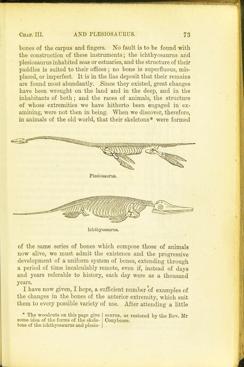 bones of the carpus and fingers. No fault is to be found -wdth. the construction of these instruments; the ichthyosaurus arid plesiosaurus inhabited seas or estuaries, and the structure of their paddles is suited to their offices; no bone is superfluous, mis- placed, or imperfect. It is in the lias deposit that their remains are found most abundantly. .Since they existed, great changes have been wrought on the land and in the deep, and in the inhabitants of both; and the races of animals, the structure of whose extremities we have hitherto been engaged in ex- amining, were not then in being. When we discover, therefore, in animals of the old world, that their skeletons* were formed Ichthyosaurus. of the same series of bones which compose those of animals now alive, we must admit the existence and the progressive development of a uniform system of bones, extending through a period of time incalculably remote, even if, instead of days and years referable to history, each day were as a thousand years. I have now given, I hope, a sufficient number of examples of the changes in the bones of the anterior extremity, which suit them to every possible variety of use. After attending a little * The woodcuts on this page give some idea of the forms of the skele- tons of the ichthyosaurus and plesio- saums, as restored by the Ecv. Mr Conybeare.