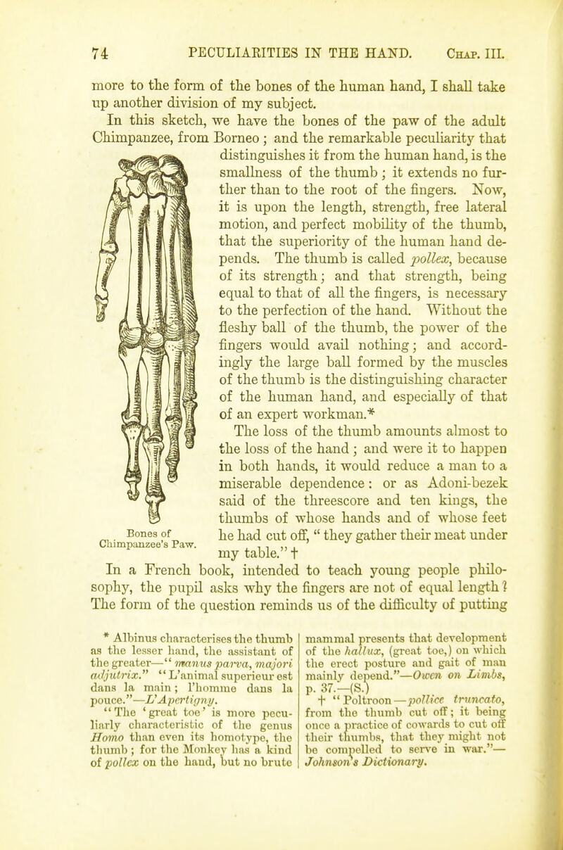 more to tlie form of the bones of tlie human hand, I shall take up another division of my subject. In this sketch, we have the bones of the paw of the adult Chimpanzee, from Borneo ; and the remarkable peculiarity that distinguishes it from the human hand, is the smallness of the thumb ; it extends no fur- ther than to the root of the fingers. Now, it is upon the length, strength, free lateral motion, and perfect mobUity of the thumb, that the superiority of the human hand de- pends. The thumb is called ■pollex^ because of its strength; and that strength, being equal to that of all the fingers, is necessary to the perfection of the hand. Without the fleshy ball of the thumb, the power of the fingers would avail nothing; and accord- ingly the large ball formed by the muscles of the thumb is the distinguishing character of the human hand, and especially of that of an expert workman.* The loss of the thumb amounts almost to the loss of the hand ; and were it to happen in both hands, it would reduce a man to a miserable dependence: or as Adoni-bezek said of the threescore and ten kings, the thumbs of whose hands and of whose feet he had cut ofi,  they gather their meat under my table. t In a French book, intended to teach young people philo- sophy, the pupil asks why the fingers are not of equal length ] The form of the question reminds us of the difficulty of putting Bones of Chimpanzee's Paw. * Albinus characterises the thumb as the lesser hand, the iissistant of the greater— manus pan-a, majori adjzUi'ix.  L'animal superieur est dans la main; I'homme dans la pouce.—L'Apei'tiffni/. The 'great toe' is more pecu- liarly characteristic of the genus Homo tlian even its homotype, the thumb ; for the Monkey has a kind of poUex on the hand, but no brute mammal presents that development of the hallux, (great toe,) on which the erect posture and gait of man mainly depend.—Owen on Limbs, p. 37.—(S.) t Poltroon—poUke truncate, from the thumb cut off; it being once a iiractice of cowards to cut off their thumbs, that they might not bo compelled to serve in war.— Johnsoits Dictionary/.