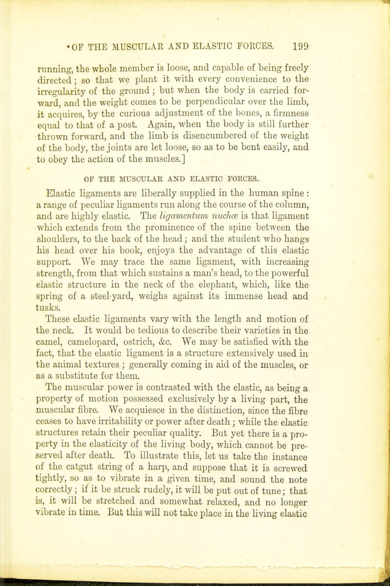 nmning, the whole member is loose, and capable of being freely directed; so that we plant it with every convenience to the irregularity of the ground; but when the body is carried for- ward, and the weight comes to be perpendicular over the limb, it acquires, by the curious adjustment of the bones, a firmness equal to that of a post. Again, when the body is still further thrown forward, and the limb is disencumbered of the weight of the body, the joints are let loose, so as to be bent easily, and to obey the action of the muscles.] OF THE MtrSCULAE AND ELASTIC FORCES. Elastic ligaments are liberally supplied in the human spine : a range of peculiar ligaments run along the course of the column, and are highly elastic. The ligamentum nuclioe is that ligament which extends from the prominence of the spine between the shoulders, to the back of the head; and the student who hangs his head over his book, enjoys the advantage of this elastic support. We may trace the same ligament, with increasing strength, from that which sustains a man's head, to the powerful elastic structure in the neck of the elephant, which, like the spring of a steel-yard, weighs against its immense head and tusks. These elastic ligaments vary with the length and motion of the neck. It would be tedious to describe their varieties in the camel, camelopard, ostrich, &c. We may be satisfied with the fact, that the elastic ligament is a structure extensively used in the animal textures ; generally coming in aid of the muscles, or as a substitute for them. The muscular power is contrasted with the elastic, as being a property of motion possessed exclusively by a living part, the muscular fibre. We acquiesce in the distinction, since the fibre ceases to have irritability or power after death; while the elastic structures retain their peculiar quality. But yet there is a pro- perty in the elasticity of the living body, which cannot be pre- served after death. To illustrate this, let us take the instance of the catgut string of a harp, and suppose that it is screwed tightly, so as to vibrate in a given time, and sound the note correctly; if it be struck rudely, it will be put out of tune; that is, it will be stretched and somewhat relaxed, and no longer vibrate in time. But this will not take place in the living elastic