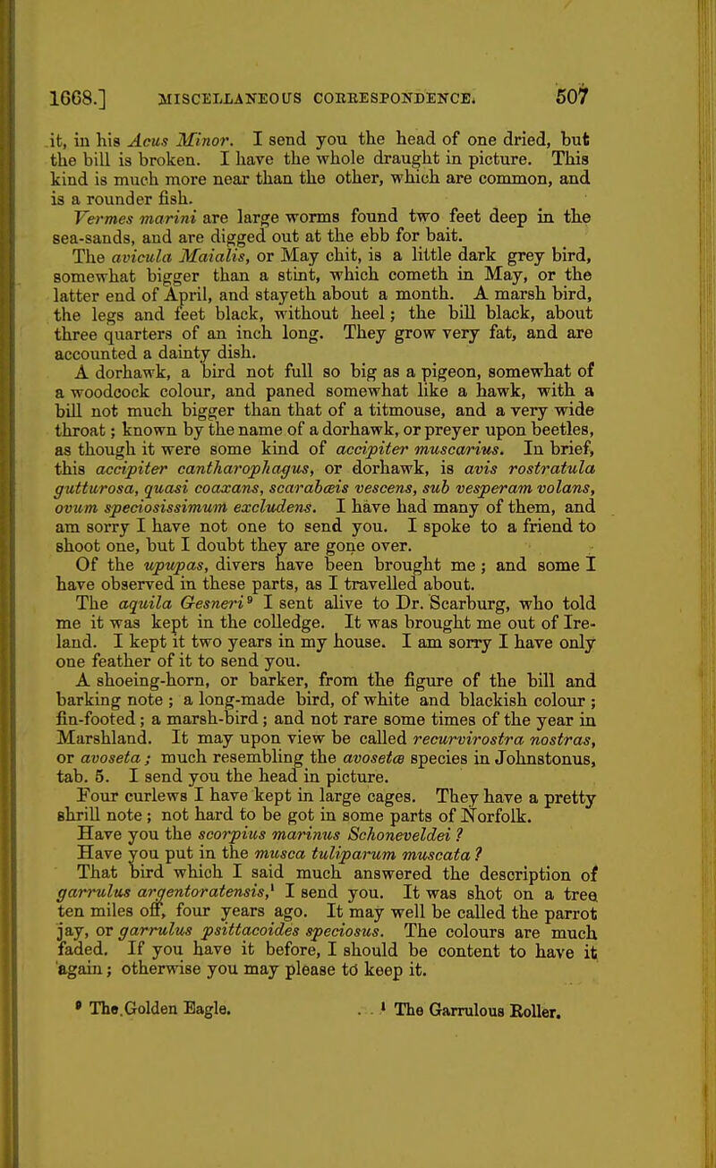 it, in his Acus Minor. I send you the head of one dried, but the bill is broken. I have the whole draught in picture. This kind is much more near than the other, which are common, and is a rounder fish. Vermes marini are large worms found two feet deep in the sea-sands, and are digged out at the ebb for bait. The avicula Maialis, or May chit, is a little dark grey bird, somewhat bigger than a stint, which cometh in May, or the latter end of April, and stayeth about a month. A marsh bird, the legs and feet black, without heel; the bill black, about three quarters of an inch long. They grow very fat, and are accounted a dainty dish. A dorhawk, a bird not full so big as a pigeon, somewhat of a woodcock colour, and paned somewhat like a hawk, with a bill not much bigger than that of a titmouse, and a very wide throat; known by the name of a dorhawk, or preyer upon beetles, as though it were some kind of accipiter muscarius. In brief, this accipiter cantharophagus, or dorhawk, is avis rostratula gutticrosa, quasi coaxans, scarabceis vescens, sub vesperam volans, ovum spedosissimuin exclvdens. I have had many of them, and am sorry I have not one to send you. I spoke to a friend to shoot one, but I doubt they are gone over. Of the upwpas, divers have been brought me; and some I have observed in these parts, as I travelled about. The aquila Gesneri ^ I sent alive to Dr. Scarburg, who told me it was kept in the coUedge. It was brought me out of Ire- land. I kept it two years in my house. I am sorry I have only one feather of it to send you. A shoeing-horn, or barker, from the figure of the bill and barking note ; a long-made bird, of white and blackish colour ; fin-footed; a marsh-bird; and not rare some times of the year in Marshland. It may upon view be called recurvirostra nostras, or avoseta; much resembling the avosetw species in Johnstonus, tab. 5. I send you the head in picture. Four curlews I have kept in large cages. They have a pretty shrill note ; not hard to be got in some parts of Norfolk. Have you the scorpius marinus Schoneveldei 1 Have you put in the musca tuliparum muscata ? That bird which I said much answered the description of garrulus argentoratensis,^ I send you. It was shot on a tree ten miles off, four years ago. It may well be called the parrot jay, or garrulus psittacoides speciosus. The colours are much faded. If you have it before, I should be content to have it again; otherwise you may please tci keep it. » Ths.Golden Eagle. The Garrulous Roller.