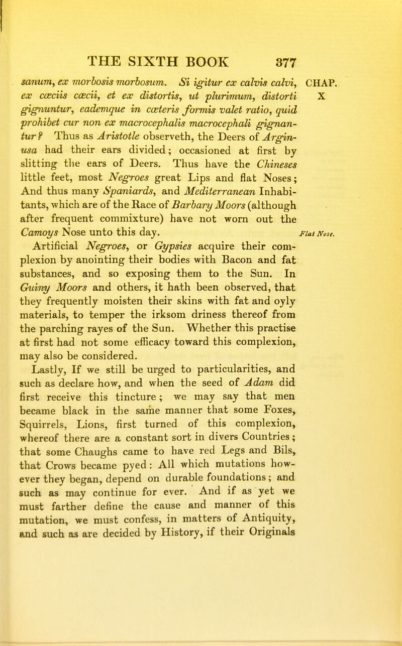 sarmm, ex Tuorhosis morhosum. Si igitur ex calvis calvi, CHAP. ex ccBciis ccecii, et ex dhtortis, ut plurimwn, distorti X gignuntur, eadevique in cceteris Jbrmis valet ratio, quid prohibet cur non ex macrocephalis macrocephali gignan- tur? Thus as Aristotle observeth, the Deers oi Argin- usa had their ears divided; occasioned at first by slitting the ears of Deers. Thus have the Chineses little feet, most Negroes great Lips and flat Noses; And thus many Spaniards, and Mediterranean Inhabi- tants, which are of the Race of Barbary Moors (although after frequent commixture) have not worn out the Camoys Nose unto this day. Fiat Nose. Artificial Negroes, or Gypsies acquire their com- plexion by anointing their bodies with Bacon and fat substances, and so exposing them to the Sun. In Guivy Moors and others, it hath been observed, that they frequently moisten their skins with fat and oyly materials, to temper the irksom driness thereof from the parching rayes of the Sun. Whether this practise at first had not some efficacy toward this complexion, may also be considered. Lastly, If we still be urged to particularities, and such as declare how, and when the seed of Adam did first receive this tincture; we may say that men became black in the same manner that some Foxes, Squirrels, Lions, first turned of this complexion, whereof there are a constant sort in divers Countries; that some Chaughs came to have red Legs and Bils, that Crows became pyed : All which mutations how- ever they began, depend on durable foundations; and such as may continue for ever. And if as yet we must farther define the cause and manner of this mutation, we must confess, in matters of Antiquity, and such as are decided by History, if their Originals