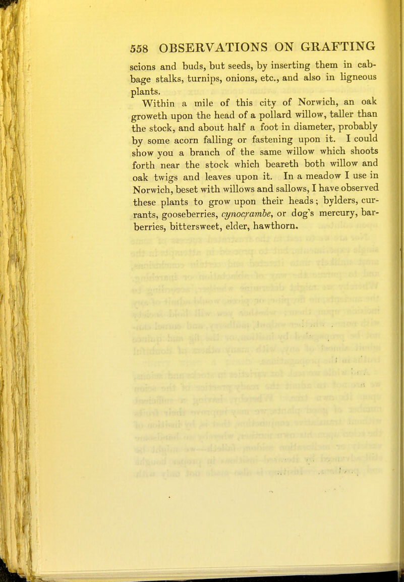 scions and buds, but seeds, by inserting them in cab- bage stalks, turnips, onions, etc., and also in ligneous plants. Within a mile of this city of Norwich, an oak groweth upon the head of a pollard willow, taller than the stock, and about half a foot in diameter, probably by some acorn falling or fastening upon it. I could show you a branch of the same willow which shoots forth near the stock which beareth both wiUow and oak twigs and leaves upon it. In a meadow I use in Norwich, beset with willows and sallows, I have observed these plants to grow upon their heads; bylders, cur- rants, gooseberries, cynoc^ramhe, or dog's mercury, bar- berries, bittersweet, elder, hawthorn.