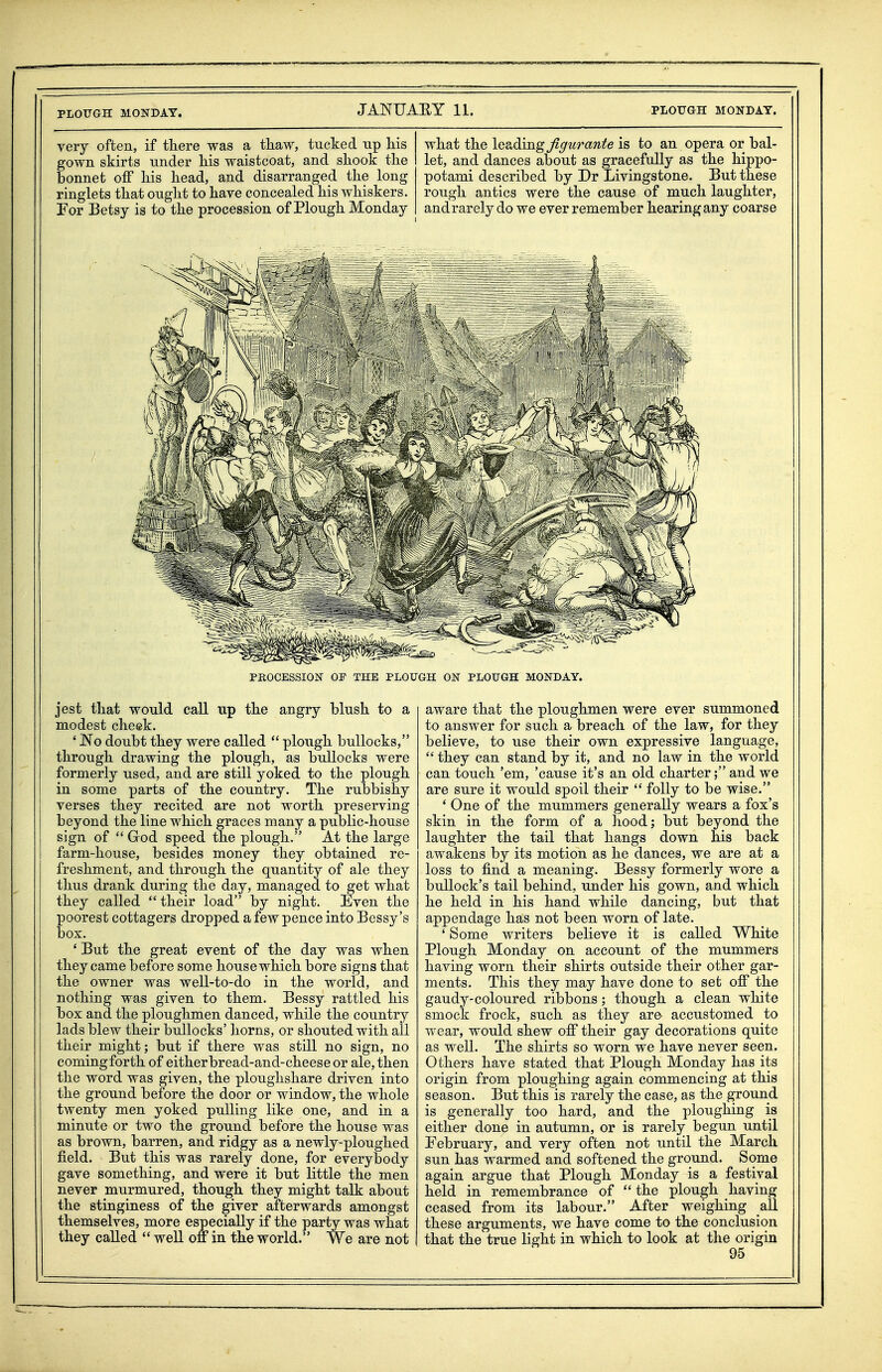 PLOUGH MONDAY. JAISTUAEY 11. PLOUaH MONDAY. very often, if tliere was a thaw, tucked up liis gown skirts under his waistcoat, and shook the bonnet off his head, and disarranged the long ringlets that ought to have concealed his whiskers. For Betsy is to the procession of Plough Monday what the lesiding Jigiurante is to an opera or bal- let, and dances about as gracefully as the hippo- potami described by Dr Livingstone. But these rough antics were the cause of much laughter, andrarely do we ever remember hearing any coarse PROCESSION 0¥ THE PLOUGH ON PLOUGH MONDAY. jest that would call up the angry blush to a modest cheek. ' No doubt they were called  plough bullocks, through drawing the plough, as bullocks were formerly used, and are still yoked to the plough in some parts of the country. The rubbishy verses they recited are not worth preserving beyond the line which graces many a public-house sign of  Grod speed the plough. At the large farm-house, besides money they obtained re- freshment, and through the quantity of ale they thus drank during the day, managed to get what they called their load by night. Even the poorest cottagers dropped a few pence into Bessy's box. ' But the great event of the day was when they came before some house which bore signs that the owner was well-to-do in the world, and nothing was given to them. Bessy rattled his box and the ploughmen danced, while the country lads blew their bullocks' horns, or shouted with all their might; but if there was still no sign, no coming forth of either bread-and-cheese or ale, then the word was given, the ploughshare driven into the ground before the door or window, the whole twenty men yoked pulling like one, and in a minute or two the ground before the house was as brown, barren, and ridgy as a newly-ploughed field. But this was rarely done, for everybody gave something, and were it but little the men never murmured, though they might talk about the stinginess of the giver afterwards amongst themselves, more especially if the party was what they called  well off in the world. We are not aware that the ploughmen were ever summoned to answer for such a breach of the law, for they believe, to use their own expressive language,  they can stand by it, and no law in the world can touch 'em, 'cause it's an old charter; and we are sure it would spoil their  folly to be wise. ' One of the mummers generally wears a fox's skin in the form of a hood; but beyond the laughter the tail that hangs down his back awakens by its motion as he dances, we are at a loss to find a meaning. Bessy formerly wore a bullock's tail behind, under his gown, and which he held in his hand while dancing, but that appendage has not been worn of late. ' Some writers believe it is called White Plough Monday on account of the mummers having worn their shirts outside their other gar- ments. This they may have done to set off the gaudy-coloured ribbons; though a clean white smock frock, such as they are- accustomed to wear, would shew off their gay decorations quite as well. The shirts so worn we have never seen. Others have stated that Plough Monday has its origin from ploughing again commencing at this season. But this is rarely the case, as the ground is generally too hard, and the ploughing is either done in autumn, or is rarely begun until February, and very often not until the March sun has warmed and softened the ground. Some again argue that Plough Monday is a festival held in remembrance of the plough having ceased from its labour. After weighing all these arguments, we have come to the conclusion that the true light in which to look at the origin