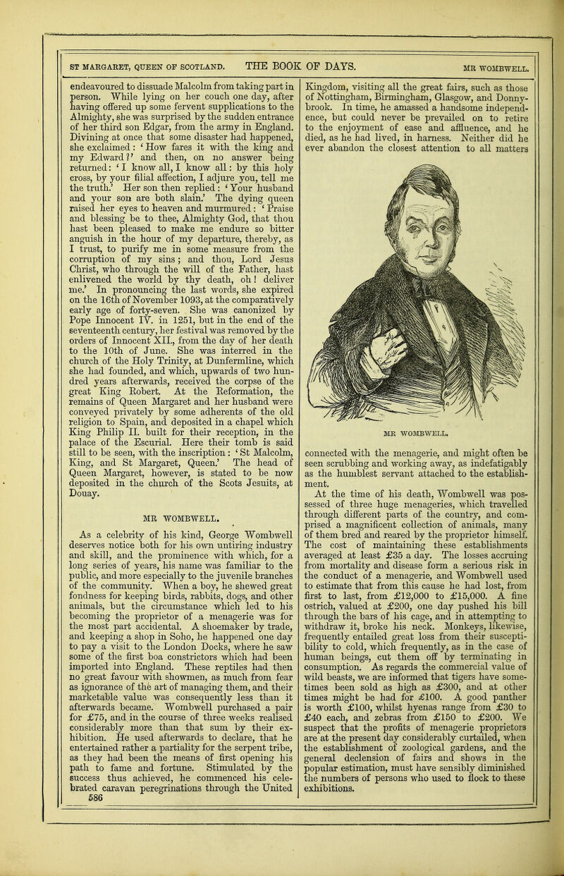 ST MARGARET, QUEEN OF SCOTLAND. THE BOOK OF DAYS. MR WOMBWELL. endeavoured to dissuade Malcolm from taking part in person. While lying on her conch one day, after having offered up some fervent supplications to the Almighty, she was surprised by the sudden entrance of her third son Edgar, from the army in England. Divining at once that some disaster had happened, she exclaimed : ' How fares it with the king and my Edward?' and then, on no answer being returned: ' I know all, I know all: by this holy cross, by your filial affection, I adjure you, tell me the truth.' Her son then replied : * Your husband and your son are both slain.' The dying queen raised her eyes to heaven and murmured : ' Praise and blessing be to thee, Almighty God, that thou hast been pleased to make me endure so bitter anguish in the hour of my departure, thereby, as I trust, to purify me in some measure from the corruption of my sins; and thou, Lord Jesus Christ, who through the will of the Father, hast enlivened the world by thy death, oh! deliver me.' In pronouncing the last words, she expired on the 16th of November 1093, at the comparatively early age of forty-seven. She was canonized by Pope Innocent IV. in 1251, but in the end of the seventeenth century, her festival was removed by the orders of Innocent XII., from the day of her death to the 10th of June. She was interred in the church of the Holy Trinity, at Dunfermline, which she had founded, and which, upwards of two hun- dred years afterwards, received the corpse of the great King Eobert. At the Keformation, the remains of Queen Margaret and her husband were conveyed privately by some adherents of the old religion to Spain, and deposited in a chapel which King Philip II. built for their reception, in the palace of the Escurial. Here their tomb is said still to be seen, with the inscription : ' St Malcolm, King, and St Margaret, Queen.' The head of Queen Margaret, however, is stated to be now deposited in the church of the Scots Jesuits, at Douay. MR WOMBWELL. As a celebrity of his kind, George Wombwell deserves notice both for his own untiring industry and skill, and the prominence with which, for a long series of years, his name was familiar to the public, and more especially to the juvenile branches of the community. When a boy, he shewed great fondness for keeping birds, rabbits, dogs, and other animals, but the circumstance which led to his becoming the proprietor of a menagerie was for the most part accidental. A shoemaker by trade, and keeping a shop in Soho, he happened one day to pay a visit to the London Docks, where he saw some of the first boa constrictors which had been imported into England. These reptiles had then no great favour with showmen, as much from fear as ignorance of the art of managing them, and their marketable value was consequently less than it afterwards became. Wombwell purchased a pair for £75, and.in the course of three weeks realised considerably more than that sum by their ex- hibition. He used afterwards to declare, that he entertained rather a partiality for the serpent tribe, as they had been the means of first opening his path to fame and fortune. Stimulated by the success thus achieved, he commenced his cele- brated caravan peregrinations through the United 586 Kingdom, visiting all the great fairs, such as those of Nottingham, Birmingham, Glasgow, and Donny- brook. In time, he amassed a handsome independ- ence, but could never be prevailed on to retire to the enjoyment of ease and affluence, and he died, as he had lived, in harness. Neither did he ever abandon the closest attention to all matters MR WOMBWELL. connected with the menagerie, and might often be seen scrubbing and working away, as indefatigably as the humblest servant attached to the establish- ment. At the time of his death, Wombwell was pos- sessed of three huge menageries, which travelled through different parts of the country, and com- prised a magnificent collection of animals, many of them bred and reared by the proprietor himself. The cost of maintaining these establishments averaged at least £35 a day. The losses accruing from mortality and disease form a serious risk in the conduct of a menagerie, and Wombwell used to estimate that from this cause he had lost, from first to last, from £12,000 to £15,000. A fine ostrich, valued at £200, one day pushed his bill through the bars of his cage, and in attempting to withdraw it, broke his neck. Monkeys, likewise, frequently entailed great loss from their suscepti- bility to cold, which frequently, as in the case of human beings, cut them off by terminating in consumption. As regards the commercial value of wild beasts, we are informed that tigers have some- times been sold as high as £300, and at other times might be had for £100. A good panther is worth £100, whilst hyenas range from £30 to £40 each, and zebras from £150 to £200. We suspect that the profits of menagerie proprietors are at the present day considerably curtailed, when the establishment of zoological gardens, and the general declension of fairs and shows in the popular estimation, must have sensibly diminished the numbers of persons who used to flock to these exhibitions.
