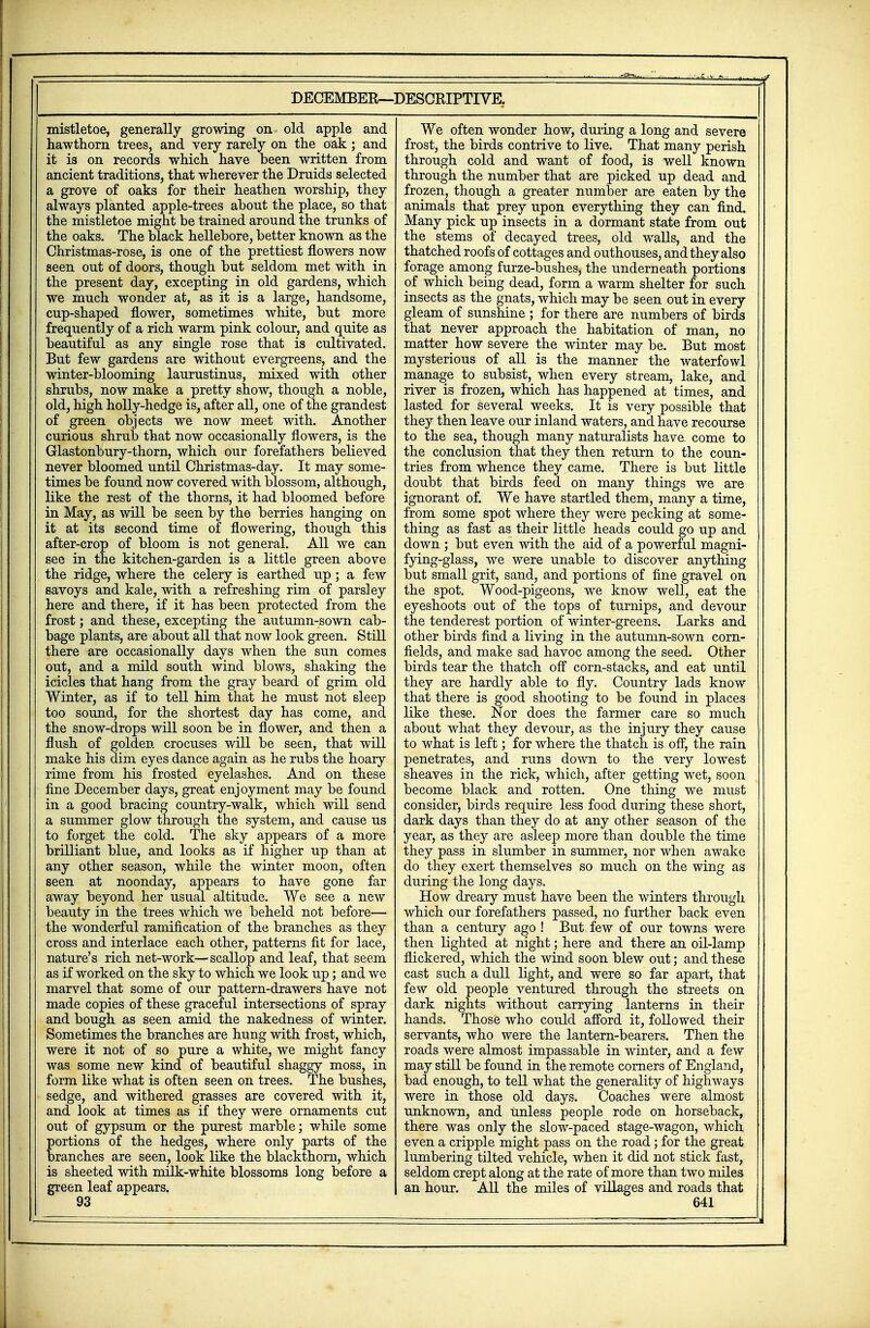 DECEMBER—DESCRIPTIVE. mistletoe, generally growing on old apple and hawthorn trees, and very rarely on the oak; and it is on records which have been written from ancient traditions, that wherever the Druids selected a grove of oaks for their heathen worship, they always planted apple-trees about the place, so that the mistletoe might be trained around the trunks of the oaks. The black hellebore, better known as the Christmas-rose, is one of the prettiest flowers now seen out of doors, though but seldom met with in the present day, excepting in old gardens, which we much wonder at, as it is a large, handsome, cup-shaped flower, sometimes white, but more frequently of a rich warm pink colour, and quite as beautiful as any single rose that is cultivated. But few gardens are without evergreens, and the winter-blooming laurustinus, mixed with other shrubs, now make a pretty show, though a noble, old, high holly-hedge is, after all, one of the grandest of green objects we now meet with. Another curious shrub that now occasionally flowers, is the Glastonbury-thorn, which our forefathers believed never bloomed until Christmas-day. It may some- times be found now covered with blossom, although, like the rest of the thorns, it had bloomed before in May, as will be seen by the berries hanging on it at its second time of flowering, though this after-crop of bloom is not general. All we can see in the kitchen-garden is a little green above the ridge, where the celery is earthed up ; a few savoys and kale, with a refreshing rim of parsley here and there, if it has been protected from the frost; and these, excepting the autumn-sown cab- bage plants, are about all that now look green. Still there are occasionally days when the sun comes out, and a mild south wind blows, shaking the icicles that hang from the gray beard of grim old Winter, as if to tell him that he must not sleep too sound, for the shortest day has come, and the snow-drops will soon be in flower, and then a flush of golden crocuses will be seen, that will make his dim eyes dance again as he rubs the hoary rime from his frosted eyelashes. And on these fine December days, great enjoyment may be found in a good bracing country-walk, which will send a summer glow through the system, and cause us to forget the cold. The sky appears of a more brilliant blue, and looks as if higher up than at any other season, while the winter moon, often seen at noonday, appears to have gone far away beyond her usual altitude. We see a new beauty in the trees which we beheld not before— the wonderful ramification of the branches as they cross and interlace each other, patterns fit for lace, nature's rich net-work—scallop and leaf, that seem as if worked on the sky to which we look up; and we marvel that some of our pattern-drawers have not made copies of these graceful intersections of spray and bough as seen amid the nakedness of winter. Sometimes the branches are hung with frost, which, were it not of so pure a white, we might fancy was some new kind of beautiful shaggy moss, in form like what is often seen on trees. The bushes, sedge, and withered grasses are covered with it, and look at times as if they were ornaments cut out of gypsum or the purest marble; while some portions of the hedges, where only parts of the branches are seen, look like the blackthorn, which is sheeted with milk-white blossoms long before a green leaf appears. We often wonder how, during a long and severe frost, the birds contrive to live. That many perish through cold and want of food, is well known through the number that are picked up dead and frozen, though a greater number are eaten by the animals that prey upon everything they can find. Many pick up insects in a dormant state from out the stems of decayed trees, old walls, and the thatched roofs of cottages and outhouses, and they also forage^among furze-bushes, the underneath portions of which being dead, form a warm shelter for such insects as the gnats, which may be seen out in every gleam of sunshine ; for there are numbers of birds that never approach the habitation of man, no matter how severe the winter may be. But most mysterious of all is the manner the waterfowl manage to subsist, when every stream, lake, and river is frozen, which has happened at times, and lasted for several weeks. It is very possible that they then leave our inland waters, and have recourse to the sea, though many naturalists have, come to the conclusion that they then return to the coun- tries from whence they came. There is but little doubt that birds feed on many things we are ignorant of. We have startled them, many a time, from some spot where they were pecking at some- thing as fast as their little heads could go up and down ; but even with the aid of a powerful magni- fying-glass, we were unable to discover anything but small grit, sand, and portions of fine gravel on the spot. Wood-pigeons, we know well, eat the eyeshoots out of the tops of turnips, and devour the tenderest portion of winter-greens. Larks and other birds find a living in the autumn-sown corn- fields, and make sad havoc among the seed. Other birds tear the thatch off corn-stacks, and eat until they are hardly able to fly. Country lads know that there is good shooting to be found in places like these. Nor does the farmer care so much about what they devour, as the injury they cause to what is left; for where the thatch is off, the rain penetrates, and runs down to the very lowest sheaves in the rick, which, after getting wet, soon become black and rotten. One thing we must consider, birds require less food during these short, dark days than they do at any other season of the year, as they are asleep more than double the time they pass in slumber in summer, nor when awake do they exert themselves so much on the wing as during the long days. How dreary must have been the winters through which our forefathers passed, no further back even than a century ago ! But few of our towns were then lighted at night; here and there an oil-lamp flickered, which the wind soon blew out; and these cast such a dull light, and were so far apart, that few old people ventured through the streets on dark nights without carrying lanterns in their hands. Those who could afford it, followed their servants, who were the lantern-bearers. Then the roads were almost impassable in winter, and a few may still be found in the remote corners of England, bad enough, to tell what the generality of highways were in those old days. Coaches were almost unknown, and unless people rode on horseback, there was only the slow-paced stage-wagon, which even a cripple might pass on the road; for the great lumbering tilted vehicle, when it did not stick fast, seldom crept along at the rate of more than two miles an hour. All the miles of villages and roads that