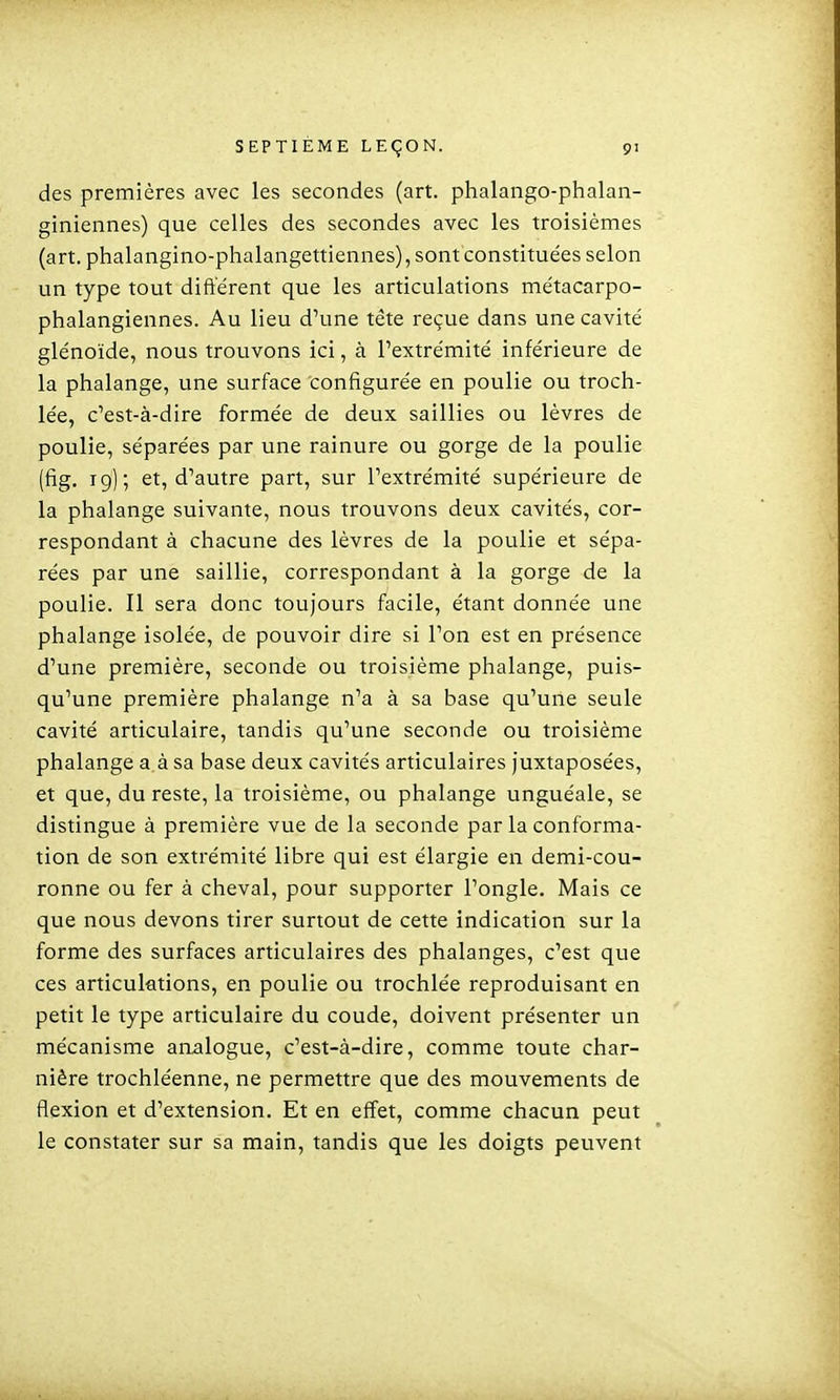 des premières avec les secondes (art. phalango-phalan- giniennes) que celles des secondes avec les troisièmes (art. phalangino-phalangettiennes), sont constituées selon un type tout différent que les articulations métacarpo- phalangiennes. Au lieu d'une tête reçue dans une cavité glénoïde, nous trouvons ici, à l'extrémité inférieure de la phalange, une surface configurée en poulie ou troch- lée, c'est-à-dire formée de deux saillies ou lèvres de poulie, séparées par une rainure ou gorge de la poulie (fig. 19); et, d'autre part, sur l'extrémité supérieure de la phalange suivante, nous trouvons deux cavités, cor- respondant à chacune des lèvres de la poulie et sépa- rées par une saillie, correspondant à la gorge de la poulie. Il sera donc toujours facile, étant donnée une phalange isolée, de pouvoir dire si l'on est en présence d'une première, seconde ou troisième phalange, puis- qu'une première phalange n'a à sa base qu'une seule cavité articulaire, tandis qu'une seconde ou troisième phalange a.à sa base deux cavités articulaires Juxtaposées, et que, du reste, la troisième, ou phalange unguéale, se distingue à première vue de la seconde par la conforma- tion de son extrémité libre qui est élargie en demi-cou- ronne ou fer à cheval, pour supporter l'ongle. Mais ce que nous devons tirer surtout de cette indication sur la forme des surfaces articulaires des phalanges, c'est que ces articulations, en poulie ou trochlée reproduisant en petit le type articulaire du coude, doivent présenter un mécanisme analogue, c'est-à-dire, comme toute char- nière trochléenne, ne permettre que des mouvements de flexion et d'extension. Et en effet, comme chacun peut le constater sur sa main, tandis que les doigts peuvent