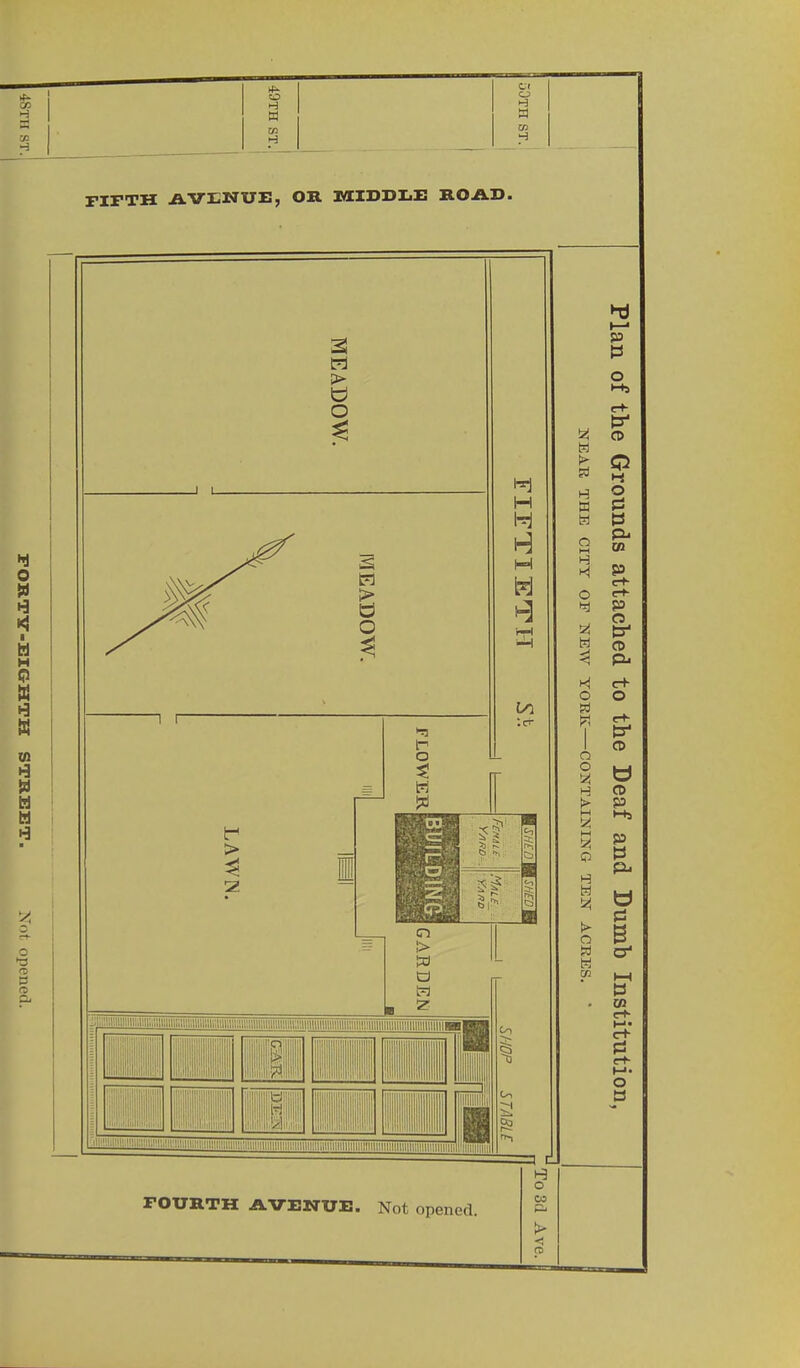 FIFTH AVENUE, OR MIDDLE ROAD.