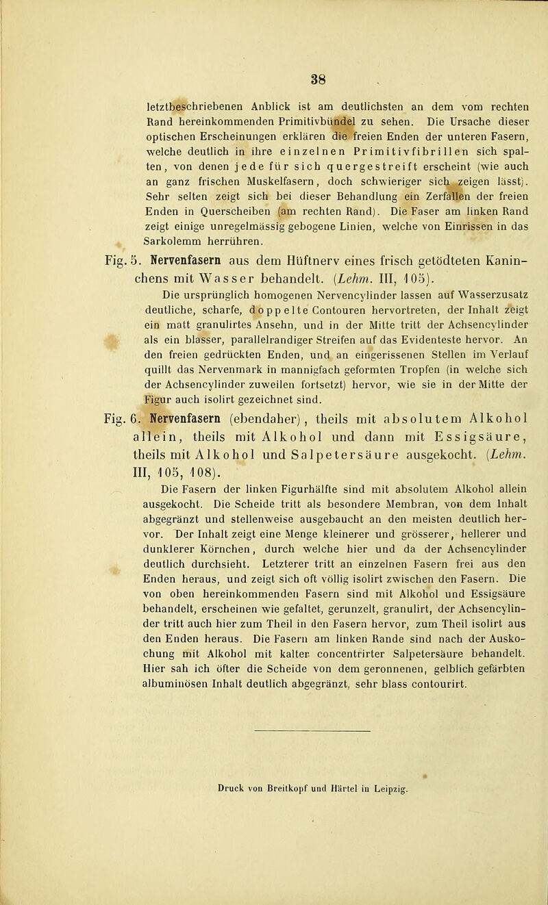 letztbeschriebenen Anblick ist am deutlichsten an dem vom rechten Rand hereinkommenden Primitivbündel zu sehen. Die Ursache dieser optischen Erscheinungen erklären die freien Enden der unteren Fasern, welche deutlich in ihre einzelnen Primitivfibri 11 en sich spal- ten, von denen jede für sich quergestreift erscheint (wie auch an ganz frischen Muskelfasern, doch schwieriger sich zeigen lässt). Sehr selten zeigt sich bei dieser Behandlung ein Zerfallen der freien Enden in Querscheiben (am rechten Rand). Die Faser am linken Rand zeigt einige unregelmässig gebogene Linien, welche von Einrissen in das Sarkolemm herrühren. 5. Nervenfasern aus dem Hüftnerv eines frisch getödteten Kanin- chens mit Wasser behandelt. [Lehm. III, 105). Die ursprünglich homogenen Nervencylinder lassen auf Wasserzusatz deutliche, scharfe, dopp elte Contouren hervortreten, der Inhalt zeigt ein matt granulirtes Ansehn, und in der Mitte tritt der Achsencylinder als ein blasser, parallelrandiger Streifen auf das Evidenteste hervor. An den freien gedrückten Enden, und an eingerissenen Stellen im Verlauf quillt das Nervenmark in mannigfach geformten Tropfen (in welche sich der Achsencylinder zuweilen fortsetzt) hervor, wie sie in der Mitte der Figur auch isolirt gezeichnet sind. 6. Nervenfasern (ebendaher), theils mit absolutem Alkohol allein, theils mit Alkohol und dann mit Essigsäure, theils mit Alkohol und Salpetersäure ausgekocht. [Lehm. III, 105, 108). Die Fasern der linken Figurhälfte sind mit absolutem Alkohol allein ausgekocht. Die Scheide tritt als besondere Membran, von dem Inhalt abgegränzt und stellenweise ausgebaucht an den meisten deutlich her- vor. Der Inhalt zeigt eine Menge kleinerer und grösserer, hellerer und dunklerer Körnchen, durch welche hier und da der Achsencylinder deutlich durchsieht. Letzterer tritt an einzelnen Fasern frei aus den Enden heraus, und zeigt sich oft völlig isolirt zwischen den Fasern. Die von oben hereinkommenden Fasern sind mit Alkohol und Essigsäure behandelt, erscheinen wie gefaltet, gerunzelt, granulirt, der Achsencylin- der tritt auch hier zum Theil in den Fasern hervor, zum Theil isolirt aus den Enden heraus. Die Fasern am linken Rande sind nach der Ausko- chung mit Alkohol mit kalter concentrirter Salpetersäure behandelt. Hier sah ich öfter die Scheide von dem geronnenen, gelblich gefärbten albuminösen Inhalt deutlich abgegränzt, sehr blass contourirt. Druck von Breitkopf und Härtel in Leipzig.