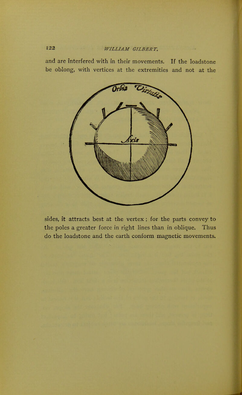 and are interfered with in their movements. If the loadstone be oblong, with vertices at the extremities and not at the sides, it attracts best at the vertex ; for the parts convey to the poles a greater force in right lines than in oblique. Thus do the loadstone and the earth conform magnetic movements.