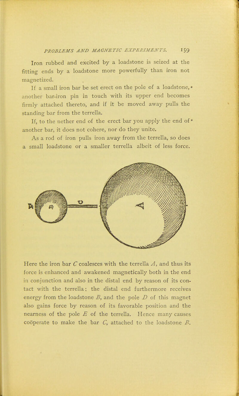 Iron rubbed and excited by a loadstone is seized at the fitting ends by a loadstone more powerfully than iron not magnetized. If a small iron bar be set erect on the pole of a loadstone,* another bar-iron pin in touch with its upper end becomes firmly attached thereto, and if it be moved away pulls the standing bar from the terrella. If, to the nether end of the erect bar you apply the end of* another bar, it does not cohere, nor do they unite. As a rod of iron pulls iron away from the terrella, so does a small loadstone or a smaller terrella albeit of less force. Here the iron bar C coalesces with the terrella A, and thus its force is enhanced and awakened magnetically both in the end in conjunction and also in the distal end by reason of its con- tact with the terrella; the distal end furthermore receives energy from the loadstone B, and the pole D of this magnet also gains force by reason of its favorable position and the nearness of the pole E of the terrella. Hence many causes cooperate to make the bar C, attached to the loadstone 7?.
