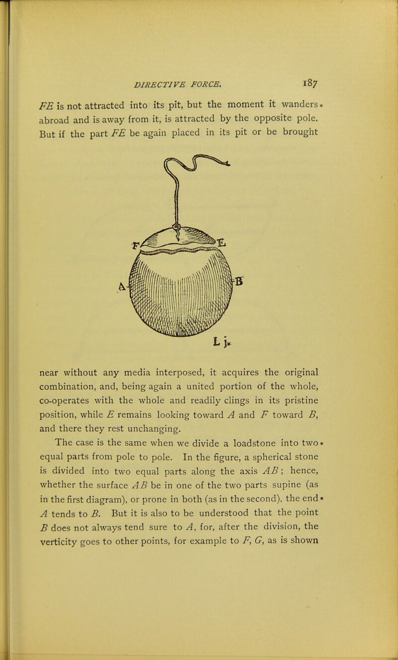FE is not attracted into its pit, but the moment it wanders * abroad and is away from it, is attracted by the opposite pole. But if the part FE be again placed in its pit or be brought near without any media interposed, it acquires the original combination, and, being again a united portion of the whole, co-operates with the whole and readily clings in its pristine position, while E remains looking toward A and F toward B, and there they rest unchanging. The case is the same when we divide a loadstone into two* equal parts from pole to pole. In the figure, a spherical stone is divided into two equal parts along the axis AB ; hence, whether the surface AB be in one of the two parts supine (as in the first diagram), or prone in both (as in the second), the end * A tends to B. But it is also to be understood that the point B does not always tend sure to A, for, after the division, the verticity goes to other points, for example to F, G, as is shown tj.