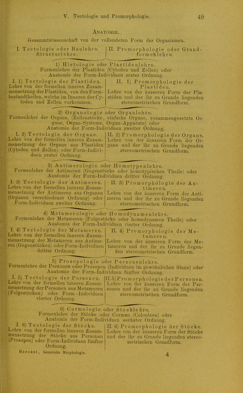 Anatomie. Gesammtwisseuschaft vou der vollendeten Form der Organismen. I. Tectologie oder Baulehre. Structurlehre. II. Promorphologie oder Grund- form etil ehr e. 1) Histologie oder Piastidenlehre. Formenlehre der Plastidea (Oytoden und Zellen) oder Anatomie der Form-Individuen erster Ordnung. I. 1) Tectologie der Plastideu. Lehre von der formellen inneren Zusam- mensetzung der Piastiden, von deuForm- bestandtheilen, welche im Inneren derCy- toden und Zellen vorkommen. II. 1) P r 0 m 0 r p h 010 g i e der Piastiden. Lehre von der äusseren Form der Pla- stiden und der ihr zu Grunde liegenden stereometrischen Grundform. 2) Organologie oder Organlehre. Formenlehre der Organe, (Zellenstöcke, einfache Organe, zusammengesetzte Or gane, Organ-Systeme, Organ-Apparate) oder Anatomie der Form-Individuen zweiter Ordnung. II. 2) Promorphologie der Organe Lehre von der äusseren Form der Or I. 2) Tectologie der Organe. Lehre von der formellen inneren Zusam- mensetzung der Organe aus Piastiden (Cytoden und Zellen) oder Form-Indivi- duen erster Ordnung. gane und der ihr zu Grunde liegenden stereometrischen Grundform. 3) Antimerologie oder Homotypenlehre. Formenlehre der Antimeren (Gegenstücke oder homotypischeu Theile) oder Anatomie der Form-Individuen dritter Ordnung. I. 3) Tectologie der Antimeren. Lehre von der formellen inneren Zusam- mensetzung der Antimeren aus Organen (Organen verschiedener Ordnung) oder Form-Individuen zweiter Ordnung. II. 3) Promorphologie der An- timeren. Lehre von der äusseren Form der Anti- meren und der ihr zu Grunde liegenden stereometrischen Grundfoi-m. 4) Metamer ologie oder Ho modynamenlehre. Formenlehre der Metameren (Folgestücke oder homodynamen Theile) oder Anatomie der Form-Individuen vierter Ordnung. L 4) Tectologie der Metameren. Lehre von der formellen inneren Zusam- mensetzung der Metameren aus Antime- ren (Gegenstücken) oder Form-Individuen dritter Ordnungr. II. 4) Promorphologie der Me- t amere n. Lehre vou der äusseren Form der Me- tameren und der ihr zu Grunde liegen- den stereometrischen Grundform. 5) Prosopologie oder Personenlehre. Formenlehre der Personen oderProsopen (Individuen im gewöhnlichen Sinne) oder Anatomie der Form-Individuen fünfter Ordnung. I. 5) Tectologie der Personen Lehre von der formellen inneren Zusam- mensetzung derPersoneu aus Metameren (Folgestücken) oder Form-Individuen vierter Ordnung. II. 5) Pro morph ologie der Personen. Lehre von der äusseren Form der Per- sonen und der ihr zu Grunde liegenden stereometrischen Grundform. 6) Cormologie oder Stocklehre. Formenlehre der Stöcke oder Gönnen (Colonieeu) oder Anatomie der Form-Individuen sechster Ordnung. I. 6) Tectologie der Stöcke. Lehre von der formellen inneren Zusam- mensetzung der Stöcke aus Personen (Prosopeu) oder Form-Individuen fünfter Ordnung. Haeckel, Generelle Morphologie. II. 6) Promorphologie der Stöcke. Lehre von der äusseren Form der Stöcke und der ihr zu Grunde liegenden stei'eo- metrischen Grundform.