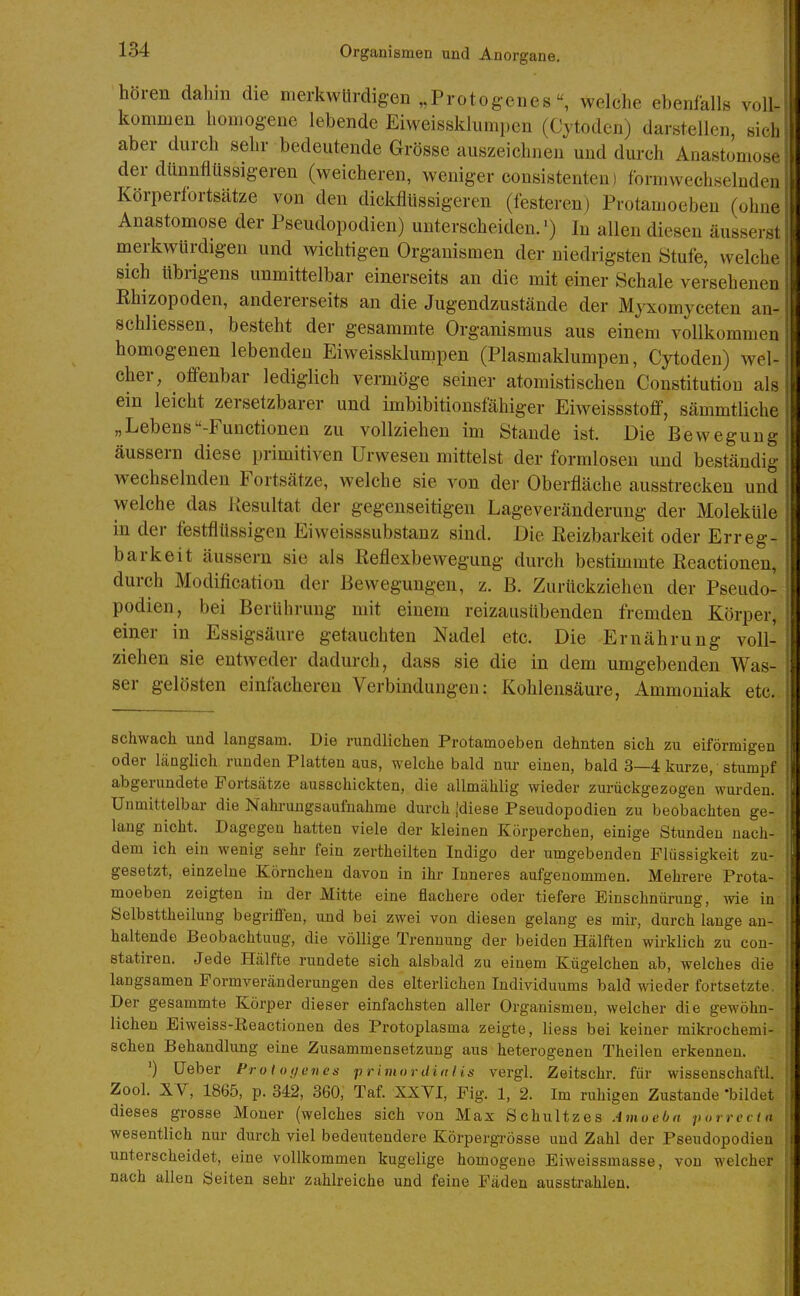 hören dahin die merkwürdigen „Protogeneswelche ehenfalls voll- kommen homog-ene lebende Eiweissklumpen (Cytoden) darstellen sich aber durch sehr bedeutende Grösse auszeichnen und durch Anastomose der dllnnflüssigeren (weicheren, weniger consistenten) formwechseluden Körperfortsätze von den dickflüssigeren (festeren) Protamoebeu (ohne Anastomose der Pseudopodien) unterscheiden.') In allen diesen äusserst merkwürdigen und wichtigen Organismen der niedrigsten Stufe, welche sich übrigens unmittelbar einerseits an die mit einer Schale versehenen Ehizopoden, andererseits an die Jugendzustände der Myxomyceten an- schliessen, besteht der gesammte Organismus aus einem vollkommen homogenen lebenden Eiweissklumpen (Plasmaklumpen, Cytoden) wel- cher, offenbar lediglich vermöge seiner atomistischen Constitution als ein leicht zersetzbarer und imbibitionsfähiger Eiweissstoff, sämmtliche „Lebens-Functionen zu vollziehen im Stande ist. Die Bewegung äussern diese primitiven Urwesen mittelst der formlosen und beständig wechselnden Fortsätze, welche sie von der Oberfläche ausstrecken und welche das Resultat der gegenseitigen Lageveränderung der Moleküle in der festflüssigen Eiweisssubstanz sind. Die Eeizbarkeit oder Erreg- barkeit äussern sie als Reflexbewegung durch bestimmte ßeactionen, durch Modification der Bewegungen, z. B. Zurückziehen der Pseudo- podien, bei Berührung mit einem reizausübenden fremden Körper, einer in Essigsäure getauchten Nadel etc. Die Ernährung voll- ziehen sie entweder dadurch, dass sie die in dem umgebenden Was- ser gelösten einfacheren Verbindungen: Kohlensäure, Ammoniak etc. schwach und langsam. Die rundlichen Protamoeben dehnten sich zu eiförmigen oder länglich runden Platten aus, welche bald nur einen, bald 3—4 kurze, stumpf abgerundete Portsätze ausschickten, die allmählig wieder zurückgezogen wurden. Unmittelbar die Nahrungsaufnahme durch .'diese Pseudopodien zu beobachten ge- lang nicht. Dagegen hatten viele der kleinen Körperchen, einige Stunden nach- dem ich ein wenig sehr fein zertheilten Indigo der umgebenden Flüssigkeit zu- gesetzt, einzelne Körnchen davon in ihr Inneres aufgenommen. Mehrere Prota- moeben zeigten in der Mitte eine flachere oder tiefere Einschnürung, Avie in Selbsttheilung begriffen, und bei zwei von diesen gelang es mir, durch lange an- haltende Beobachtung, die völlige Trennung der beiden Hälften wirklich zu con- statiren. Jede Hälfte rundete sich alsbald zu einem Kügelchen ab, welches die langsamen Formveränderungen des elterlichen Individuums bald wieder fortsetzte, Der gesammte Körper dieser einfachsten aller Organismen, welcher die gewöhn- lichen Eiweiss-Reactionen des Protoplasma zeigte, Hess bei keiner mikrochemi- schen Behandlung eine Zusammensetzung aus heterogenen Theilen erkennen. ') Ueber Prot ofjenes p r imor diti I is vergl. Zeitschr. für wissenschaftl. Zool. XY, 1865, p. 342, 360, Taf. XXVI, Fig. 1, 2. Im ruhigen Zustande 'bildet dieses grosse Moner (welches sich von Max Schultz es Amoebn porrccia wesentlich nur durch viel bedeutendere Körpergrösse und Zahl der Pseudopodien unterscheidet, eine vollkommen kugelige homogene Eiweissmasse, von welcher nach allen Seiten sehr zahlreiche und feine Fäden ausstrahlen.