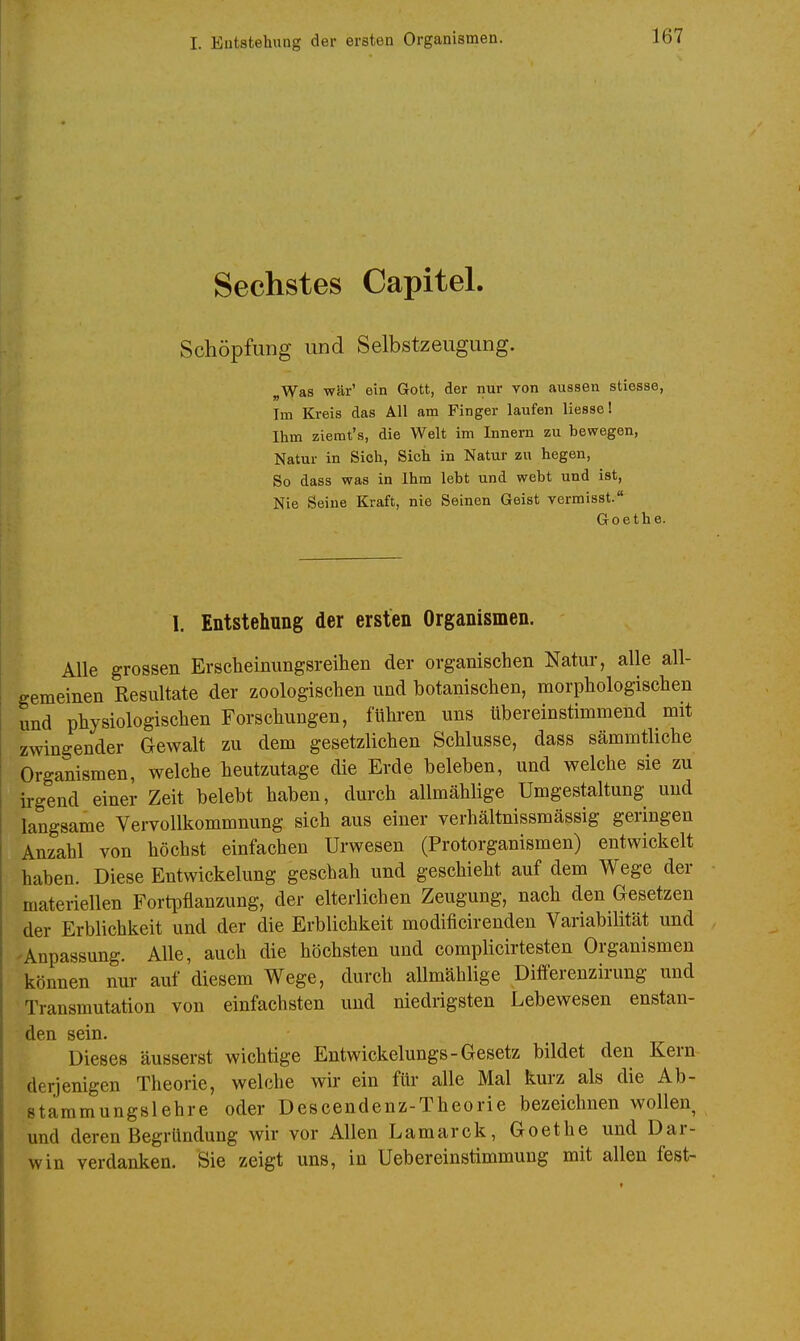 Sechstes Capitel. Schöpfung und Selbstzeugung. „Was wär' ein Gott, der nur von aussen stiesse, Im Kreis das All am Finger laufen liessei Ihm ziemt's, die Welt im Innern zu bewegen, Natur in Sich, Sich in Natur zu hegen. So dass was in Ihm lebt und webt und ist. Nie Seine Kraft, nie Seinen Geist vermisst. Goethe. I. Entstehung der ersten Organismen. Alle grossen Erscheinungsreihen der organischen Natur, alle all- gemeinen Resultate der zoologischen und botanischen, morphologischen und physiologischen Forschungen, führen uns übereinstimmend mit zwingender Gewalt zu dem gesetzlichen Schlüsse, dass sämmtliche Organismen, welche heutzutage die Erde beleben, und welche sie zu irgend einer Zeit belebt haben, durch allmählige Umgestaltung und langsame Vervollkommnung sich aus einer verhältnissmässig geringen Anzahl von höchst einfachen Urwesen (Protorganismen) entwickelt haben. Diese Entwickelung geschah und geschieht auf dem Wege der materiellen Fortpflanzung, der elterlichen Zeugung, nach den Gesetzen der Erblichkeit und der die Erblichkeit modificirenden Variabilität und 'Anpassung. Alle, auch die höchsten und complicirtesten Organismen können nur auf diesem Wege, durch allmählige Differenzirung und - Transmutation von einfachsten und niedrigsten Lebewesen enstan- den sein. Dieses äusserst wichtige Entwickelungs-Gesetz bildet den Kern derjenigen Theorie, welche wir ein für alle Mal kurz als die Ab- stammungslehre oder Descendenz-Theorie bezeichnen wollen und deren Begründung wir vor Allen Lamarck, Goethe und Dar- win verdanken. Sie zeigt uns, in Uebereinstimmung mit allen fest-