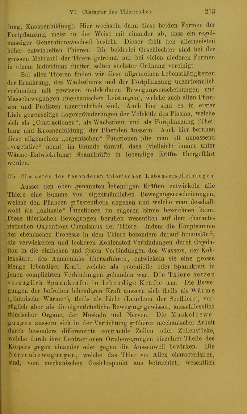 lung, Knospenbildung). Hier wechseln dann diese beiden Formen der Fortpflanzung nieist in der Weise mit einander ab, dass ein regel- mässiger Generationswechsel besteht. Dieser fehlt den allermeisten liöher entwickelten Thieren. Die beiderlei Geschlechter sind bei der grossen Mehrzahl der Thiere getrennt, nur bei vielen niederen Formen in einem Individuum fünfter, selten sechster Ordnung vereinigt. Bei allen Thieren finden wir diese allgemeinen Lebensthätigkeiten der Ernährung, des Wachsthums und der Fortpflanzung unzerti-ennlich verbunden mit gewissen molekularen Bewegungserscheinungen und Massebewegungen (mechanischen Leistungen), welche auch allen Pflan- zen und Protisten unentbehrlich sind. Auch hier sind es in erster Linie gegenseitige Lageveränderungen der Moleküle des Plasma, welche sich als „Contractionen, als Wachsthum und als Fortpflanzung (Thei- lung und Knospeubildung) der Piastiden äussern. Auch hier beruhen diese allgemeinen „organischen Functionen (die man oft unpassend „vegetative nennt) im Grunde darauf, dass (vielleicht immer unter Wärme-Entwickelung) Spannkräfte in lebendige Kräfte übergeführt werden. Cb. Character der besonderen thierischen Lebenserscheinungen. Ausser den oben genannten lebendigen Kräften entwickeln alle Thiere eine Summe von eigenthümlichen Bewegungserscheinungen, welche den Pflanzen grösstentheils abgehen und welche man desshalb wohl als „animale Functionen im engeren Sinne bezeichnen kann. Diese thierischen Bewegungen beruhen wesentlich auf dem characte- ristischen Oxydations-Chemismus der Thiere. Indem die Hauptsumme der chemischen Processe in dem Thiere besonders darauf hinausläuft, die verwickelten und lockeren Kohlenstoff-Verbindungen durch Oxyda- tion in die einfachen und festen Verbindungen des Wassers, der Koh- lensäure, des Ammoniaks überzuführen, entwickeln sie eine grosse Menge lebendiger Kraft, welche als potentielle oder Spannkraft in jenen complicirten Verbindungen gebunden war. Die Thiere setzen vorzüglich Spannkräfte in lebendige Kräfte um. Die Bewe- gungen der befreiten lebendigen Kraft äussern sich theils als Wärme („thierische Wärme), theils als Licht (Leuchten der Seethiere), vor- züglich aber als die eigenthümliche Bewegung gewisser, ausschliesslich thierischer Organe, der Muskeln und Nerven. Die Muskelbewe- gungen äussern sich in der Verrichtung gröberer mechanischer Arbeit durch besonders differenzirte contractile Zellen oder Zellenstöcke, •welche durch ihre Contractionen Ortsbewegungen einzelner Theile des Körpers gegen einander oder gegen die Aussenwelt bewirken. Die Nervenbewegungen, welche das Thier vor Allen characterisiren, sind, vom mechanischen Gesichtspunkt aus betrachtet, wesentlich