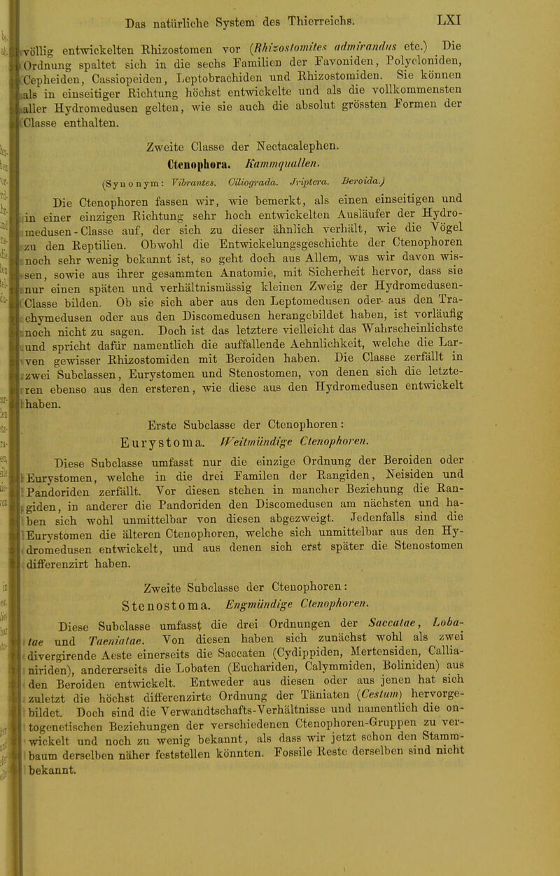 öllig ent^nckelten Rhizostomen vor {Ehhostornitex adim'randm etc.) Die Ordnung spaltet sich in die sechs Familien der Tavoniden, Polycloniden, 'Cepheiden, Cassiopeiden, Leptobrachiden und Rhizostomiden. Sie können als in einseitiger Richtung höchst entwickelte und als die vollkommensten Her Hydromedusen gelten, wie sie auch die absolut grössten Formen der Classe enthalten. Zweite Classe der Nectacalephen. Ctcnophora. Kammquallen. (Synonym: Fibrantes. Cüiograda. Jnptera. B^eroida.) Die Ctenophoren fassen wir, wie bemerkt, als einen einseitigen und in einer einzigen Richtung sehr hoch entwickelten Ausläufer der Hydro- medusen - Classe auf, der sich zu dieser ähnlich verhält, wie die Vögel zu den Reptilien. Obwohl die Entwickelungsgeschichte der^ Ctenophoren noch sehr wenig bekannt ist, so geht doch aus Allem, was wir davon wis- sen, sowie aus ihrer gesammten Anatomie, mit Sicherheit hervor, dass sie nur einen späten und verhältnismässig kleinen Zweig der Hydromedusen- Classe bilden. Ob sie sich aber aus den Leptomedusen oder- aus den Tra- cchymedusen oder aus den Discomedusen herangebildet haben, ist vorläufig noch nicht zu sagen. Doch ist das letztere vielleicht das Wahrscheinlichste und spricht dafür namentlich die auffallende Aehnlichkeit, welche die Lar- Tven gewisser Rhizostomiden mit Beroiden haben. Die Classe zerfällt in izwei Subclassen, Eurystomen und Stenostomen, von denen sich die letzte- iren ebenso aus den ersteren, wie diese aus den Hydromedusen entwickelt b haben. Erste Subclasse der Ctenophoren: Eurystoma. fFeitmündige Ctenophoren. Diese Subclasse umfasst nur die einzige Ordnung der Beroiden oder tEtirystomen, welche in die drei Familen der Rangiden, Neisiden und IPandoriden zerfällt. Vor diesen stehen in mancher Beziehung die Ran- ggiden, in anderer die Pandoriden den Discomedusen am nächsten und ha- lben sich wohl unmittelbar von diesen abgezweigt. Jedenfalls sind die 1 Eurystomen die älteren Ctenophoren, welche sich unmittelbar aus den Hy- cdromedusen entwickelt, und aus denen sich erst später die Stenostomen cdifferenzirt haben. Zweite Subclasse der Ctenophoren: StenOStoma. Engmündige Ctenophoren. Diese Subclasse umfasst die drei Ordnungen der Saccatae, Loba- itae und Taeniatae. Von diesen haben sich zunächst wohl als zwei (divergirende Aeste einerseits die Saccaten (Cydippiden, Mertensiden, Callia- I niriden), andererseits die Lobaten (Euchariden, Calymmiden, Boliniden) aus < den Beroiden entwickelt. Entweder aus diesen oder aus jenen hat sich ; zuletzt die höchst differenzirte Ordnung der Täniaten {Ceslum) hervorge- ; bildet. Doch sind die Verwandtschafts-Verhältnisse und namentHch die on- r togenetischen Beziehungen der verschiedenen Ctenophoren-Gruppen zu ver- • wickelt und noch zu wenig bekannt, als dass wir jetzt schon den Stamm- ibaum derselben näher feststellen könnten. Fossile Reste derselben sind nicht I bekannt.