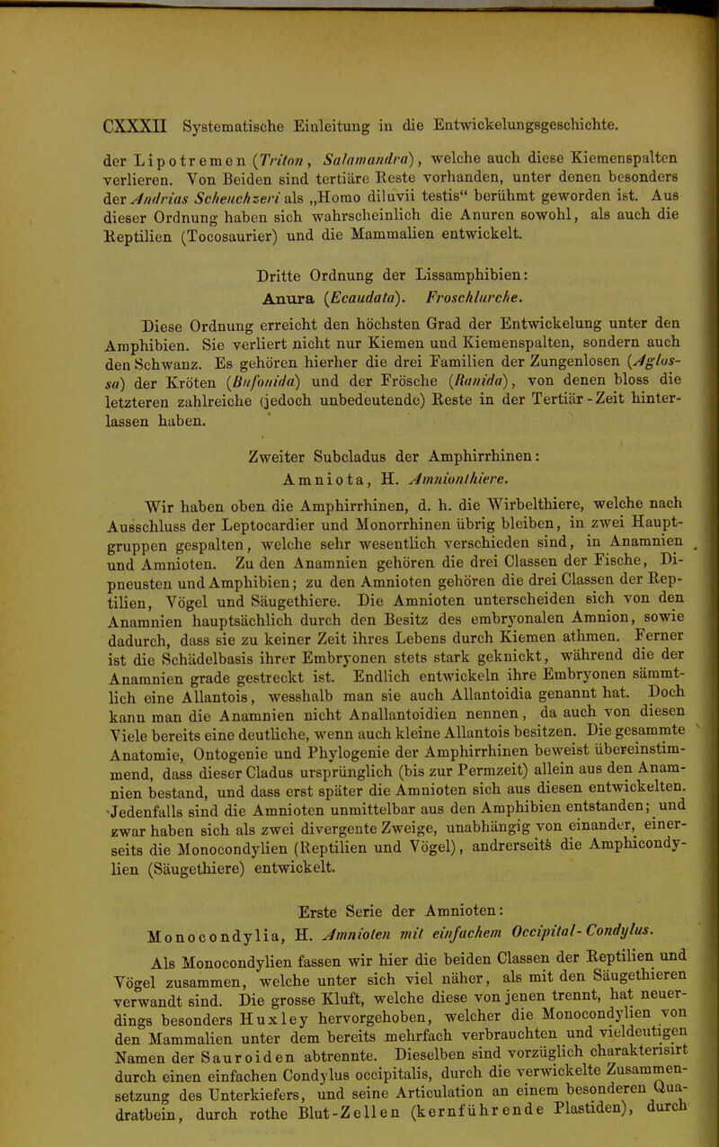 der Lipotremon {Triton, Salamandrd), welche auch diese Kiemenspalten verlieren. Von Beiden sind tertiäre Reste vorhanden, unter denen besonders der J»(/rias Sc/ieuchzeri als „Homo diluvii testis berühmt geworden ist. Aus dieser Ordnung haben sich wahrscheinlich die Anuren sowohl, als auch die Keptilien (Tocosaurier) und die Mammalien entwickelt. Dritte Ordnung der Lissamphibien: Anura {Ecaudata). Froschlurche. Diese Ordnung erreicht den höchsten Grad der Entwickelung unter den Amphibien. Sie verliert nicht nur Kiemen und Kiemenspalten, sondern auch den Schwanz. Es gehören hierher die drei Familien der Zungenlosen {Jglus- s(i) der Kröten {Bufouida) und der Frösche {Ranidu), von denen bloss die letzteren zahlreiche (jedoch unbedeutende) Eeste in der Tertiär-Zeit hinter- lassen haben. Zweiter Subcladus der Amphirrhinen: Amniota, H. jlmnionlhiere. Wir haben oben die Amphirrhinen, d. h. die Wirbelthiere, welche nach Ausschluss der Leptocardier und Monorrhinen übrig bleiben, in zwei Haupt- gruppen gespalten, welche sehr wesentlich verschieden sind, in Anamnien und Amnioten. Zu den Anamnien gehören die drei Classen der Fische, Di- pneusten und Amphibien; zu den Amnioten gehören die drei Classen der Rep- tilien, Vögel und Säugethiere. Die Amnioten unterscheiden sich von den Anamnien hauptsächlich durch den Besitz des embryonalen Amnion, sowie dadurch, dass sie zu keiner Zeit ihres Lebens durch Kiemen athmen. Ferner ist die Schädelbasis ihrer Embryonen stets stark geknickt, während die der Anamnien grade gestreckt ist. Endlich entwickeln ihre Embryonen sämmt- lich eine Allantois, wesshalb man sie auch Allantoidia genannt hat. Doch kann man die Anamnien nicht Anallantoidien nennen, da auch von diesen Viele bereits eine deutliche, wenn auch kleine Allantois besitzen. Die gesammte Anatomie, Ontogenie und Phylogenie der Amphirrhinen beweist übereinstim- mend, dass dieser Cladus ursprünglich (bis zur Permzeit) allein aus den Anam- nien bestand, und dass erst später die Amnioten sich aus diesen entwickelten. Jedenfalls sind die Amnioten unmittelbar aus den Amphibien entstanden; und zwar haben sich als zwei divergente Zweige, unabhängig von einander,^ einer- seits die Monocondylien (Reptilien und Vögel), andrerseits die Amphicondy- lien (Säugethiere) entwickelt. Erste Serie der Amnioten: Monocon dylia, H. Jmnioten mit einjachem Occipital-Condylus. Als Monocondylien fassen wir hier die beiden Classen der Reptilien und Vögel zusammen, welche unter sich viel näher, als mit den Säugethieren verwandt sind. Die grosse Kluft, welche diese von jenen trennt, hat neuer- dings besonders Huxley hervorgehoben, welcher die Monocondylien von den Mammalien unter dem bereits mehrfach verbrauchten und vieldeutigen Namen der Sauroiden abtrennte. Dieselben sind vorzüglich charaktensirt durch einen einfachen Condylus occipitalis, durch die verwickelte Zusammen- setzung des Unterkiefers, und seine Articulation an einem besonderen Uua- dratbein, durch rothe Blut-Zellen (kernführende Plastiden), durch